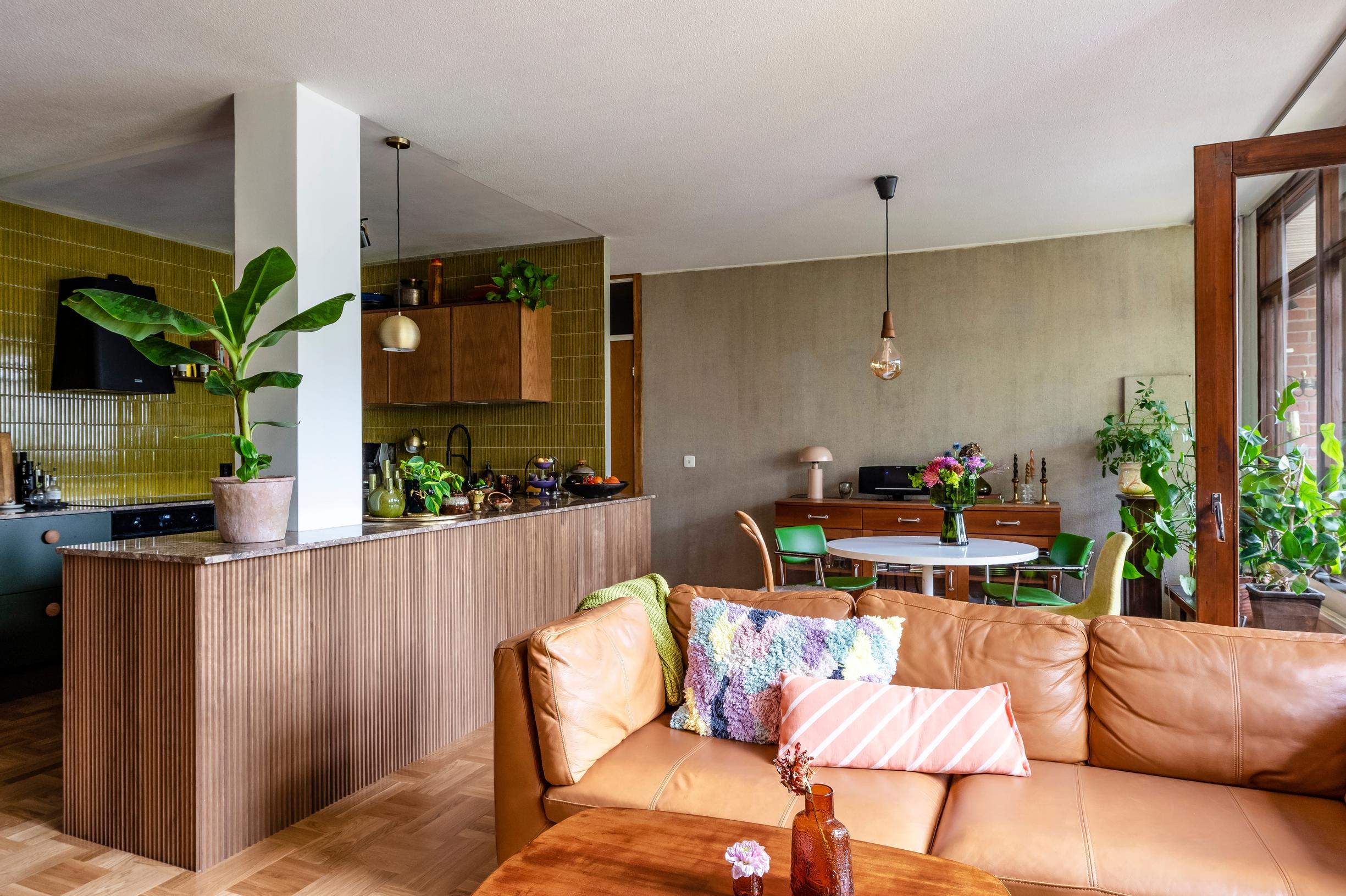 Arranging plants indoors: houseplants in a 70s style living room-kitchen
