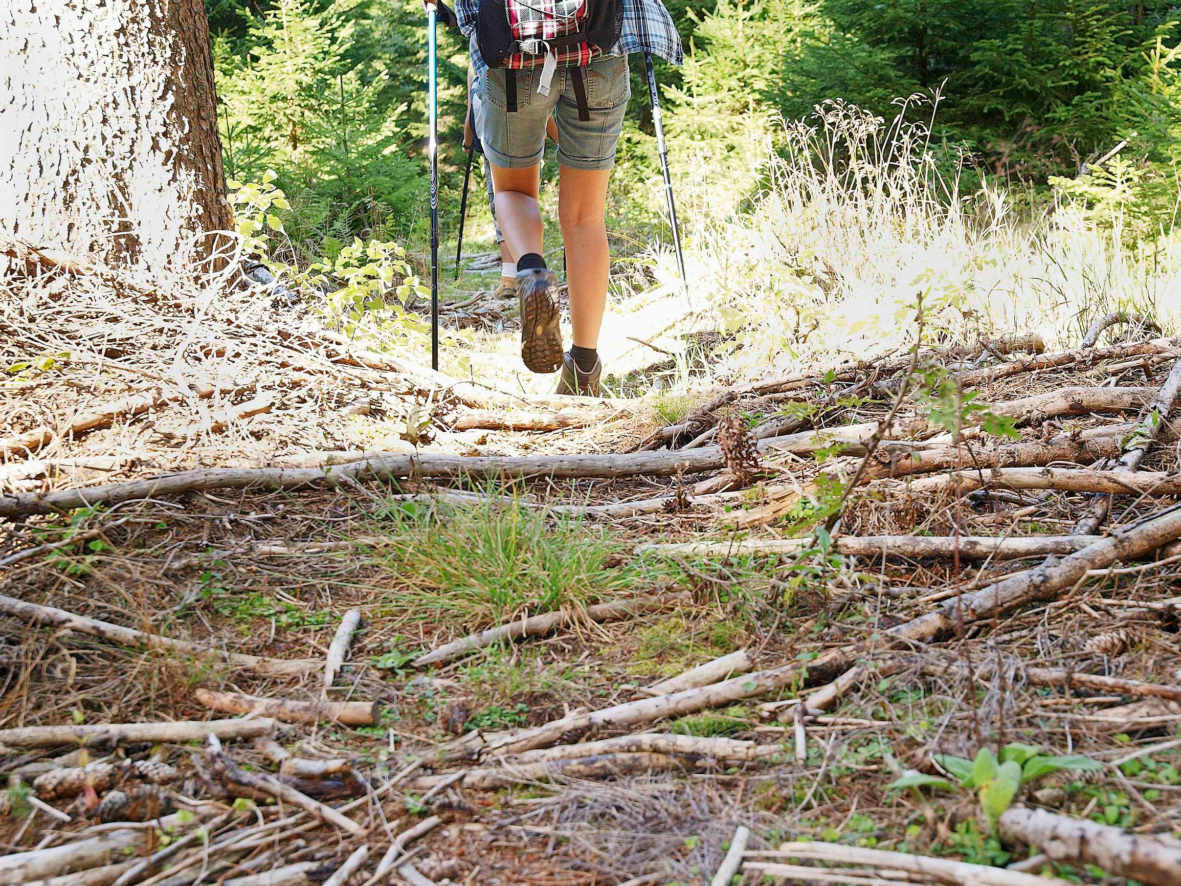 3 reasons to love Nordic walking