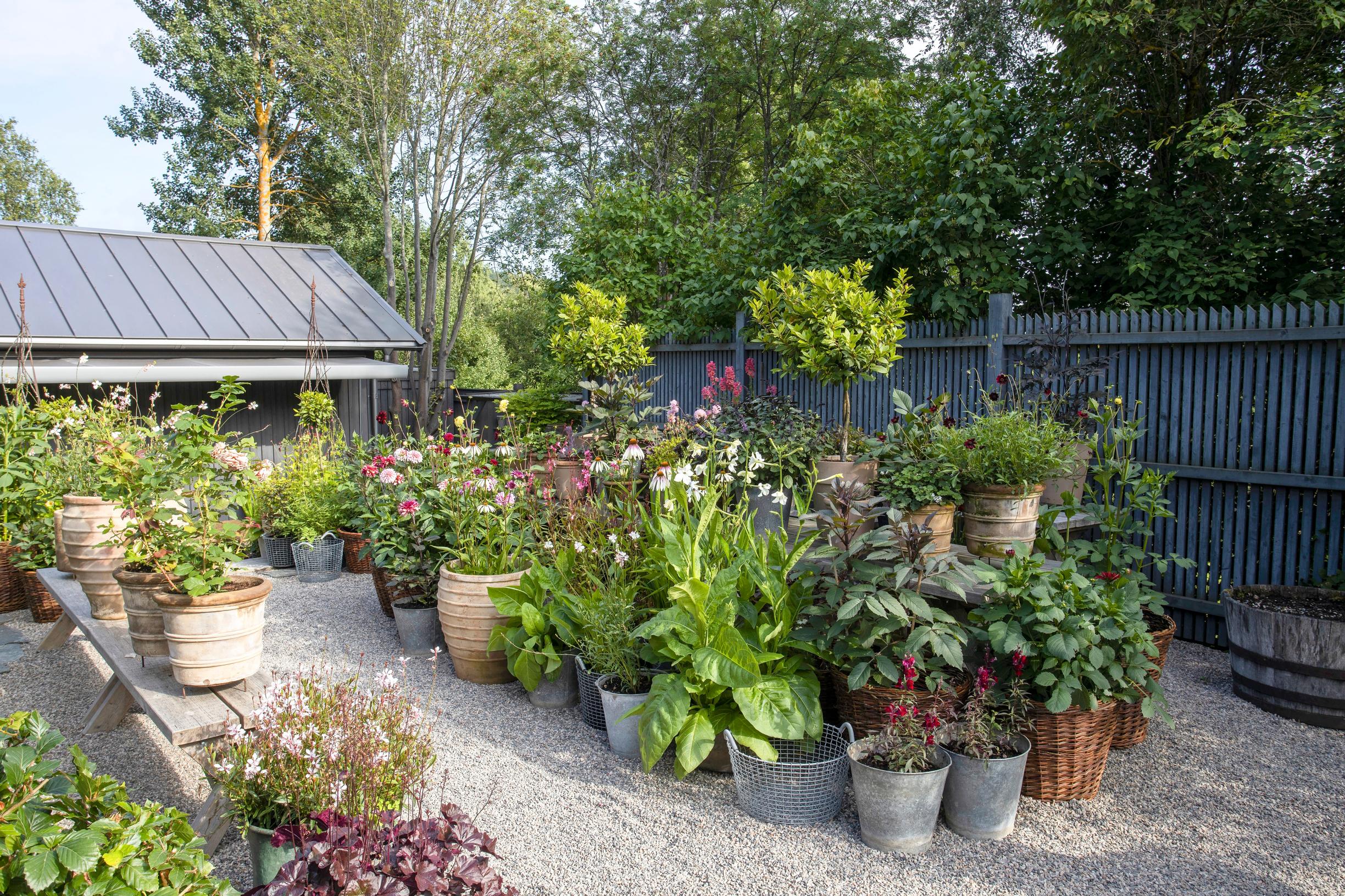 There’s a dedicated area for the container garden by the café.