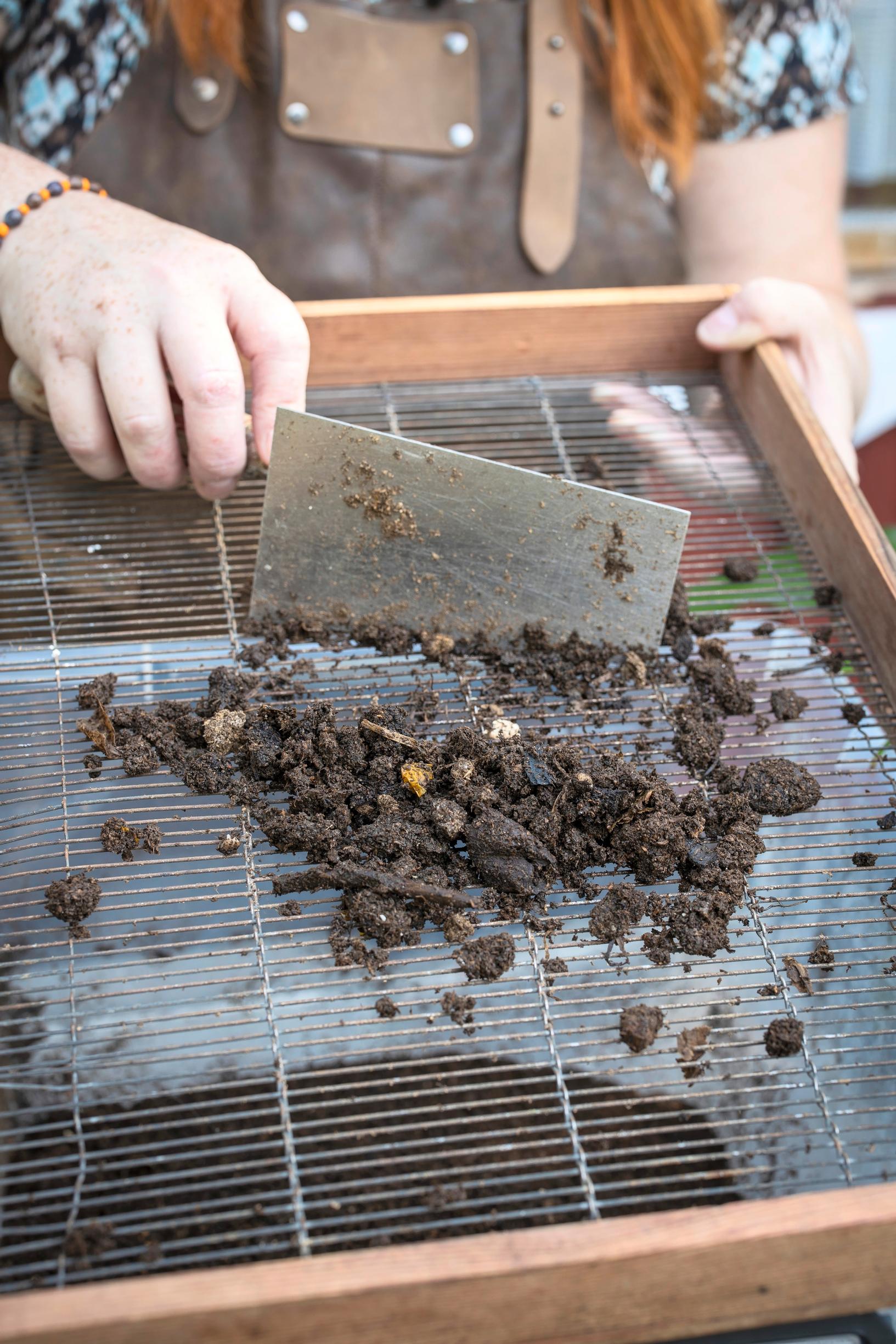 Sifting compost soil