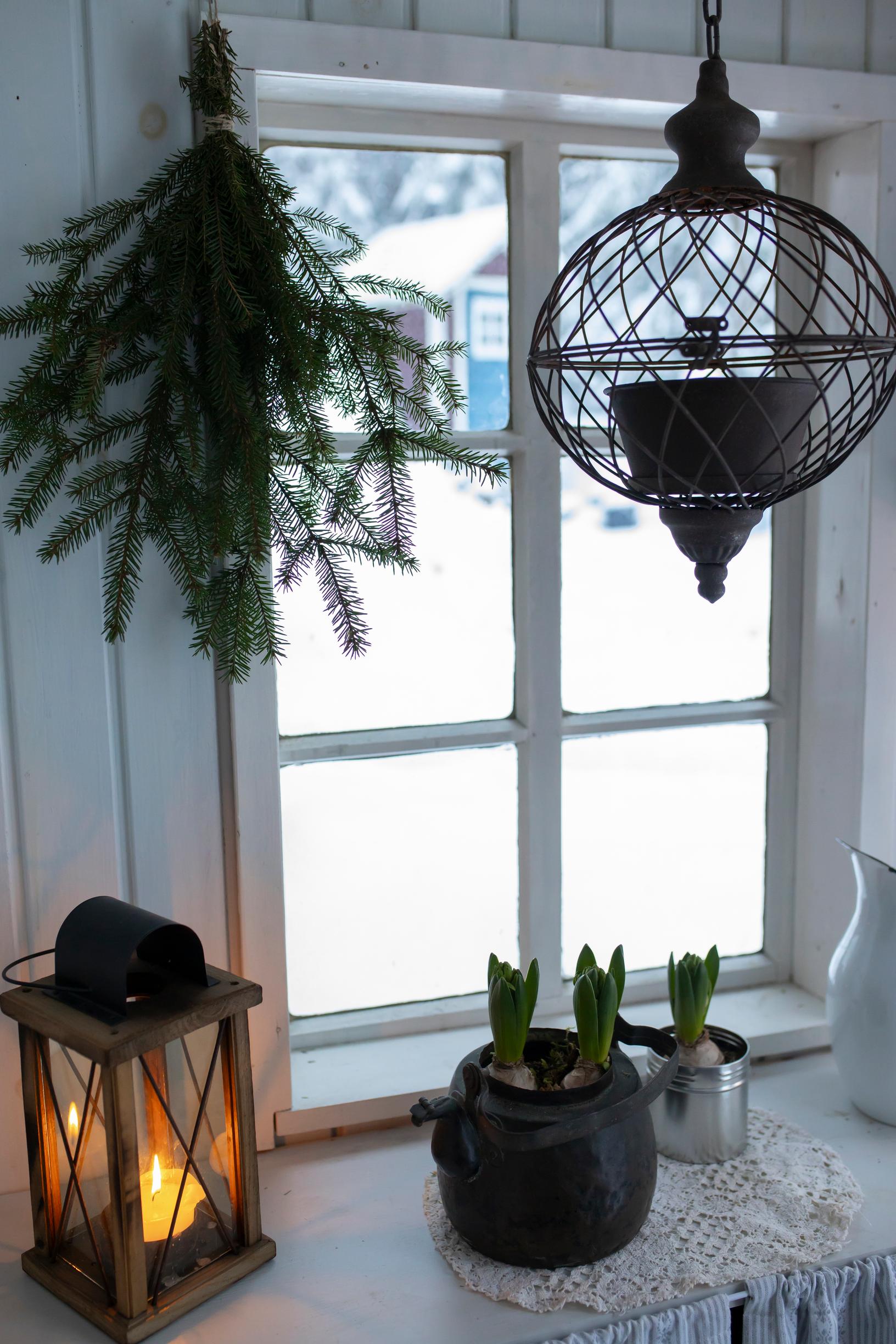 A lantern and hyacinths on a windowsill.