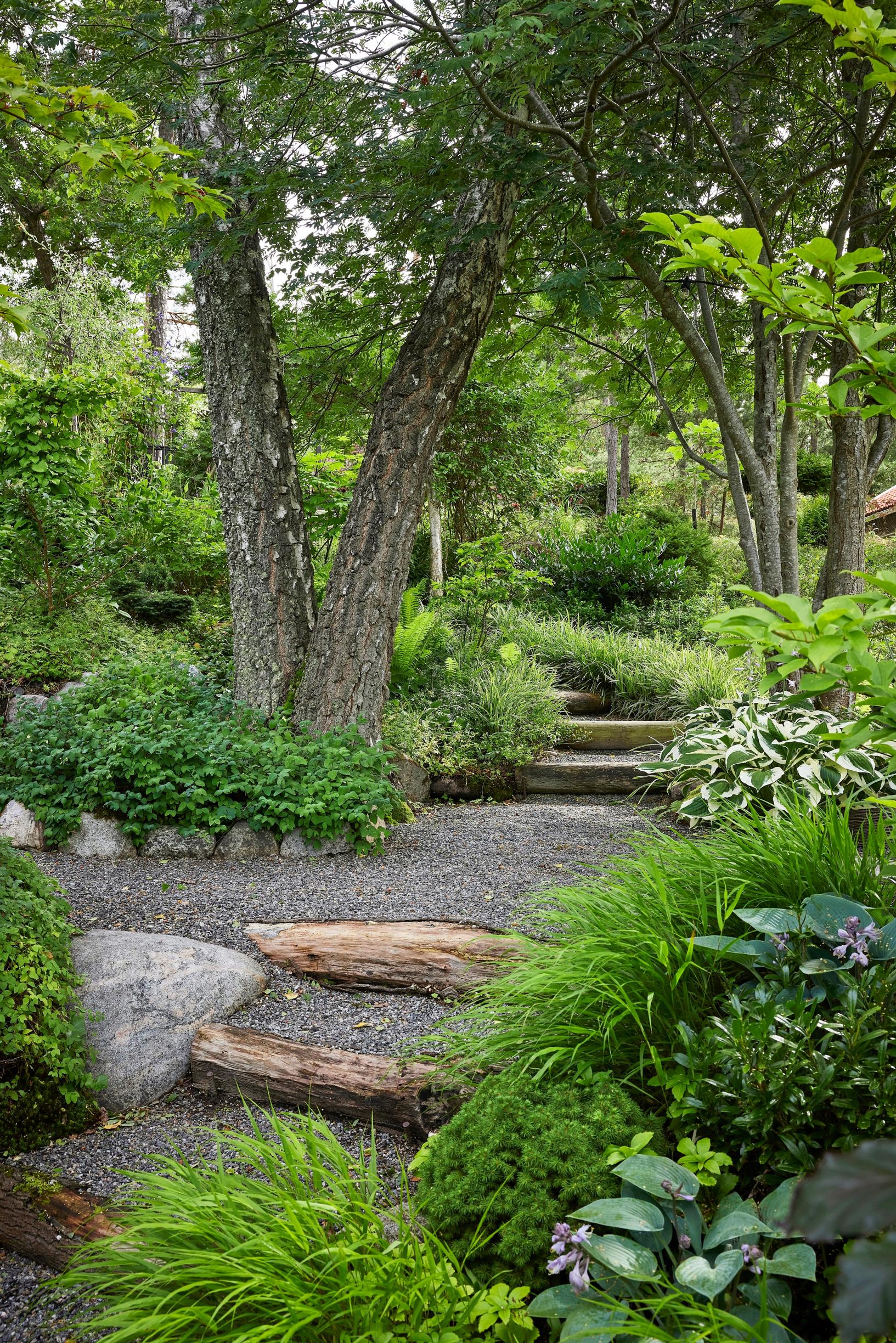Steps in the garden