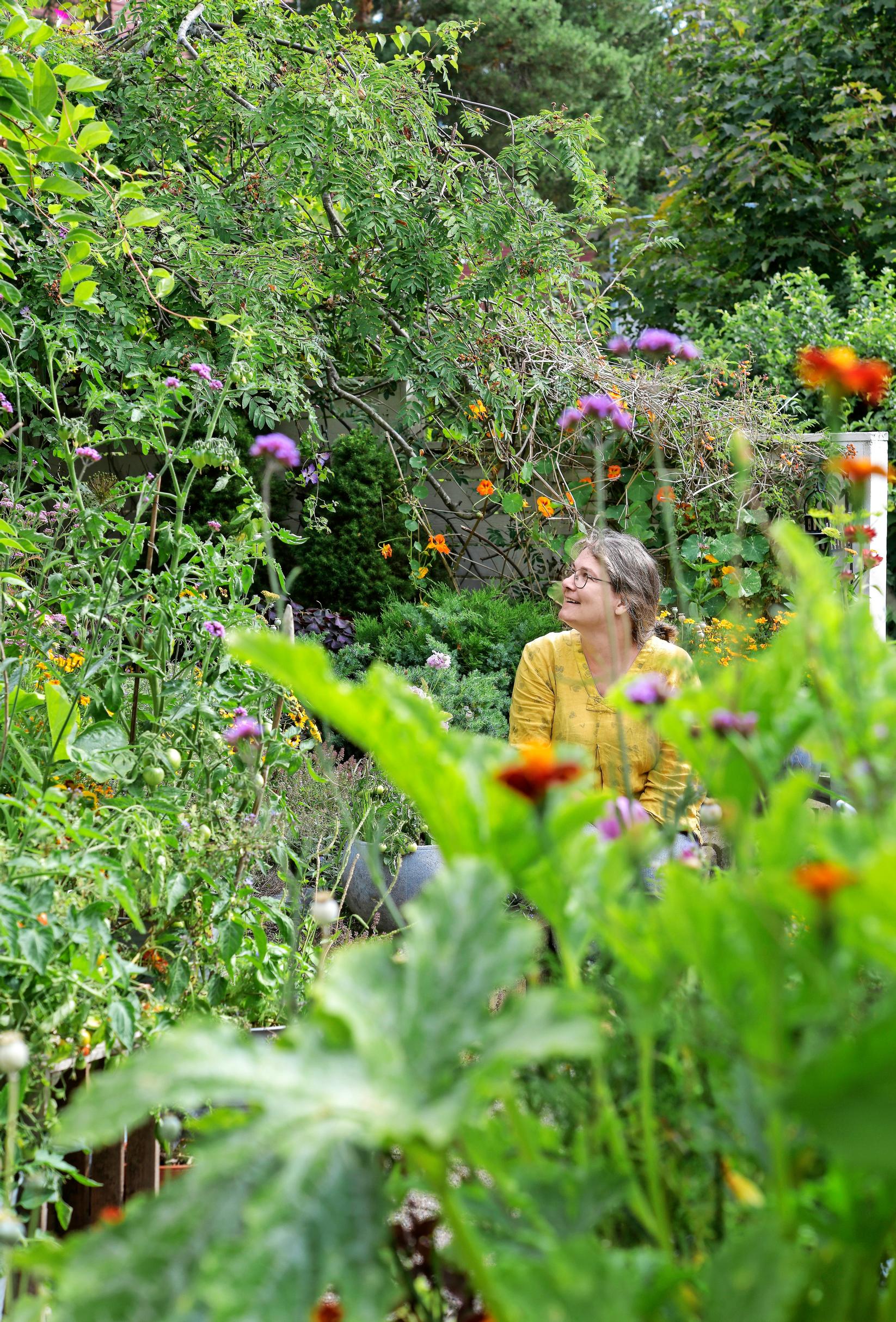 Garden with insects: Karoliina sits amid the layered vegetation of her garden.