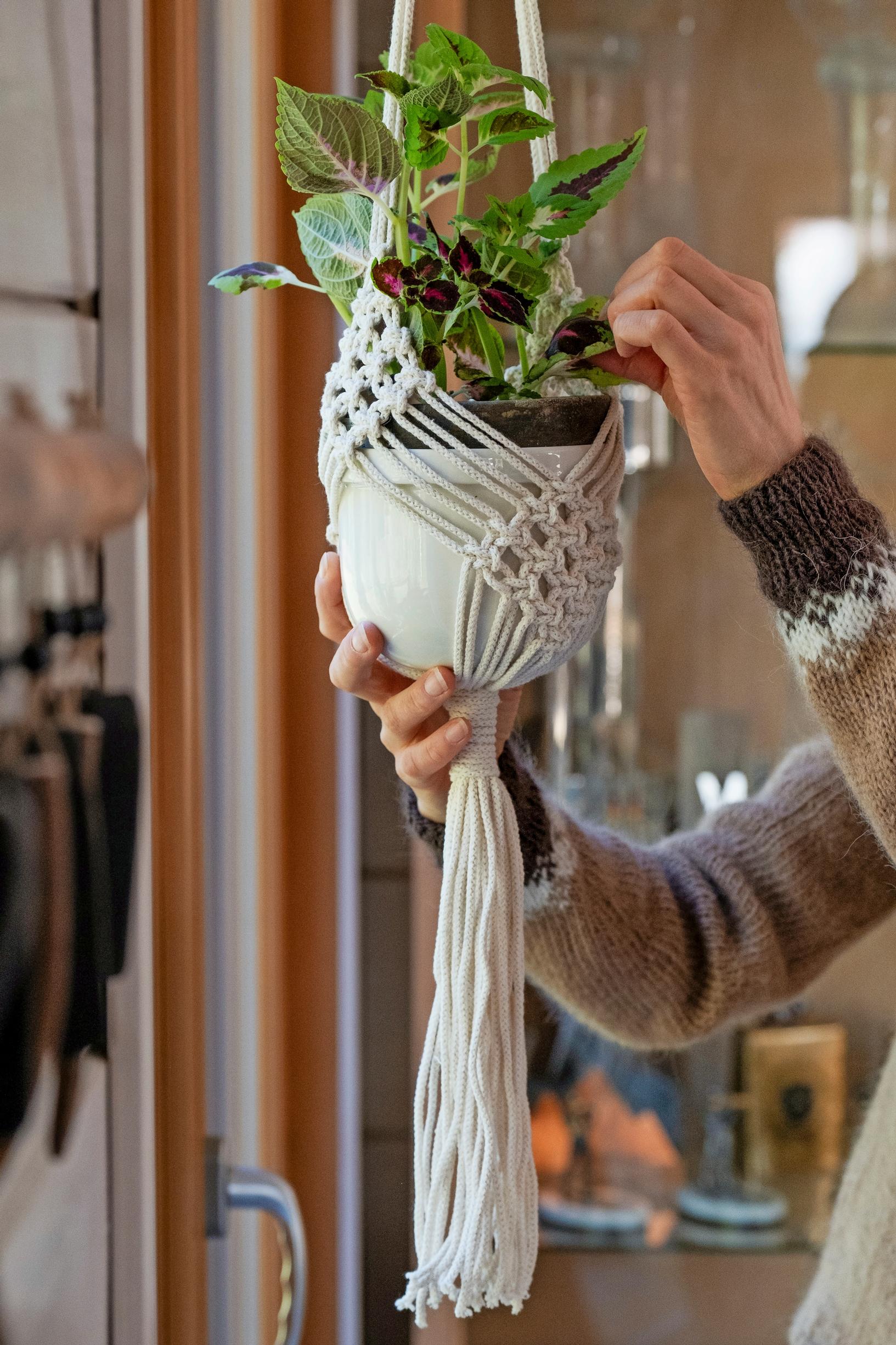 A macramé plant hanger knotted by Kaisa Mäkäräinen.