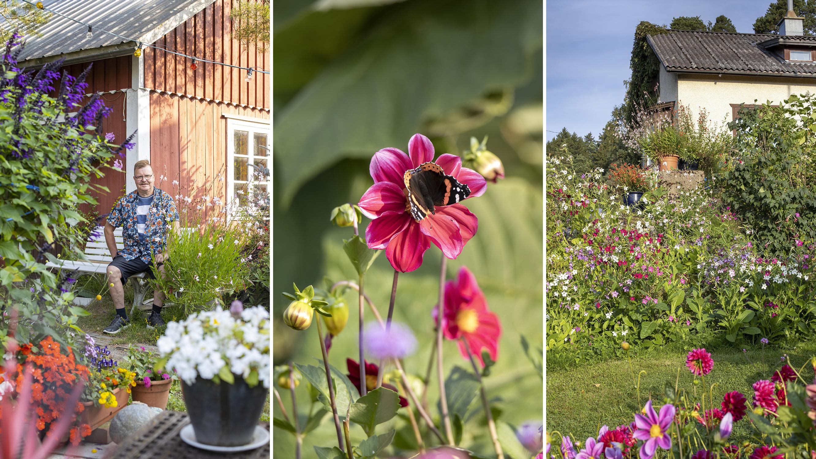 Biologist’s garden boasts pollinator-friendly flowers in full bloom: “This is a wild yard with no formalities”
