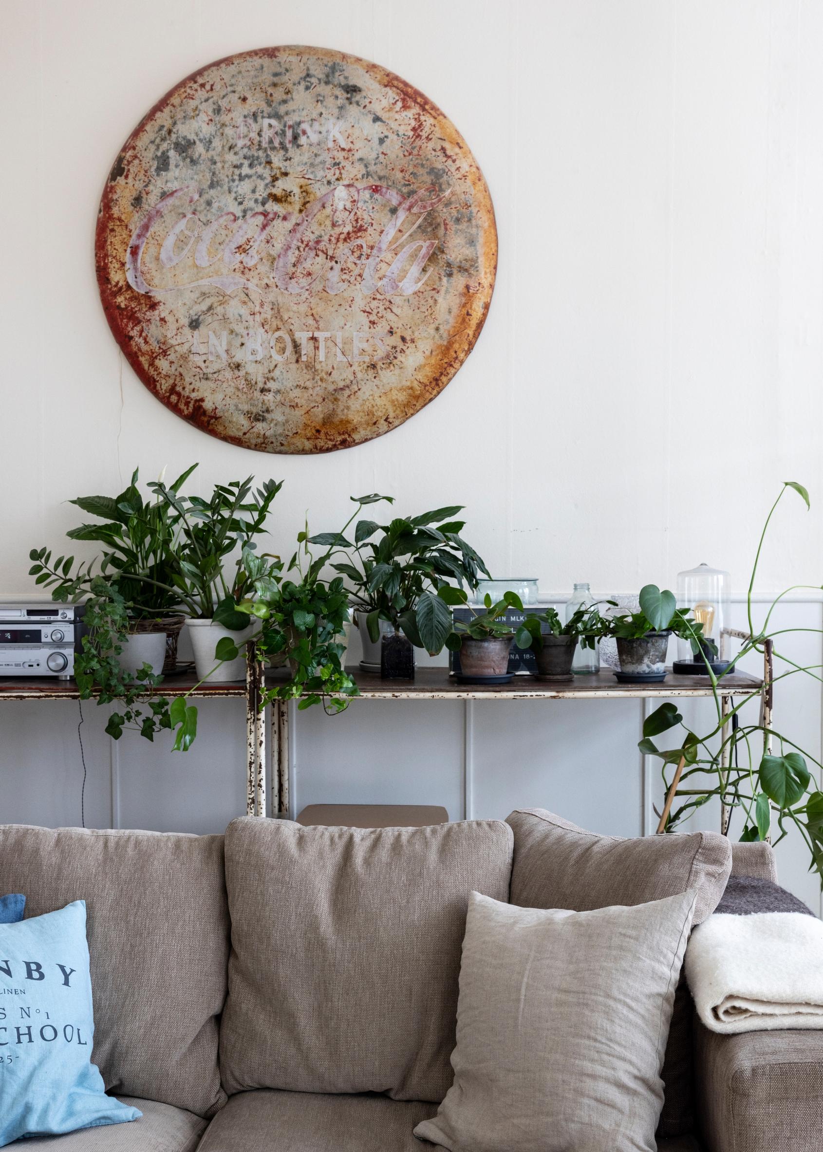 A sofa with greenery behind it