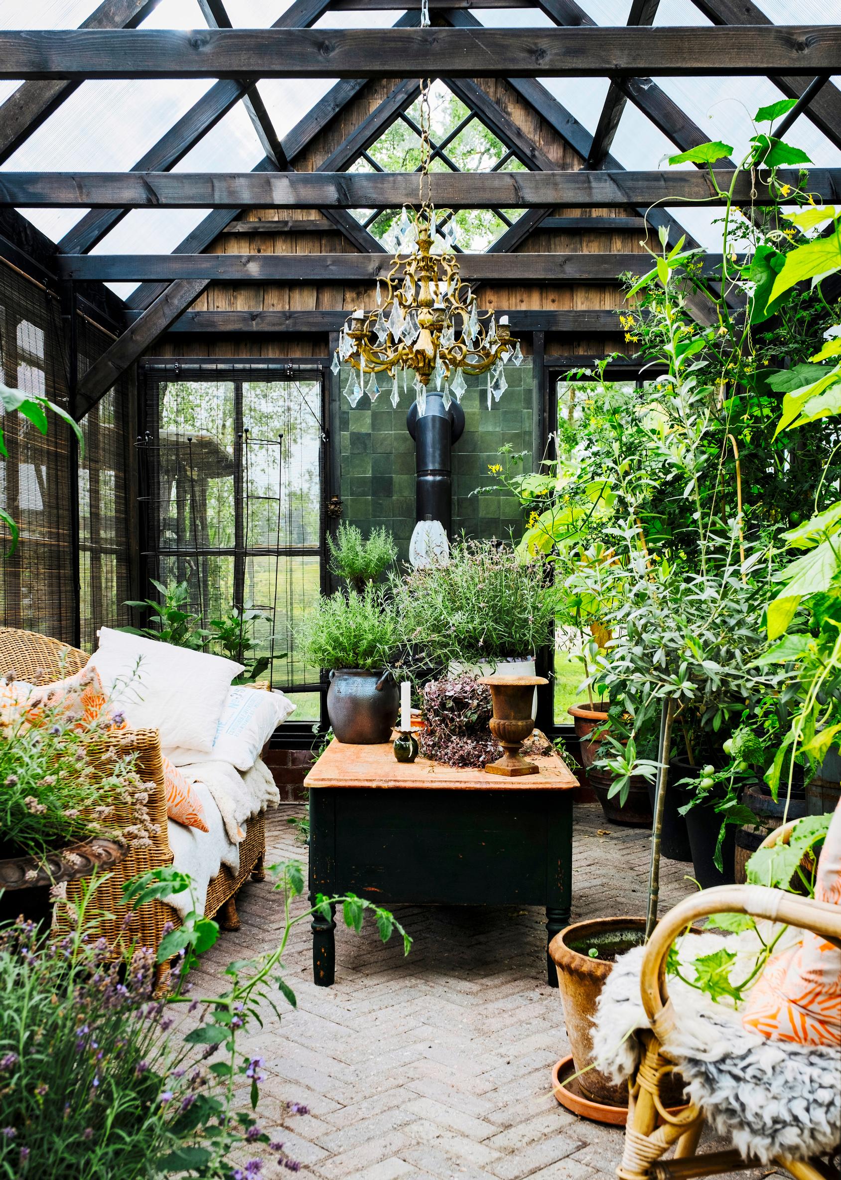 Inside the greenhouse. The greenhouse building materials were sourced secondhand.