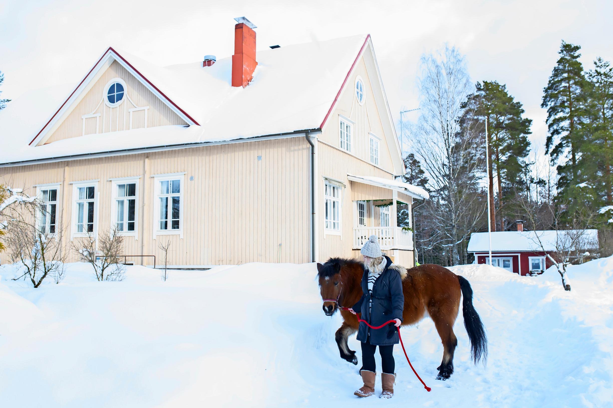 The horse farm in a winter landscape.