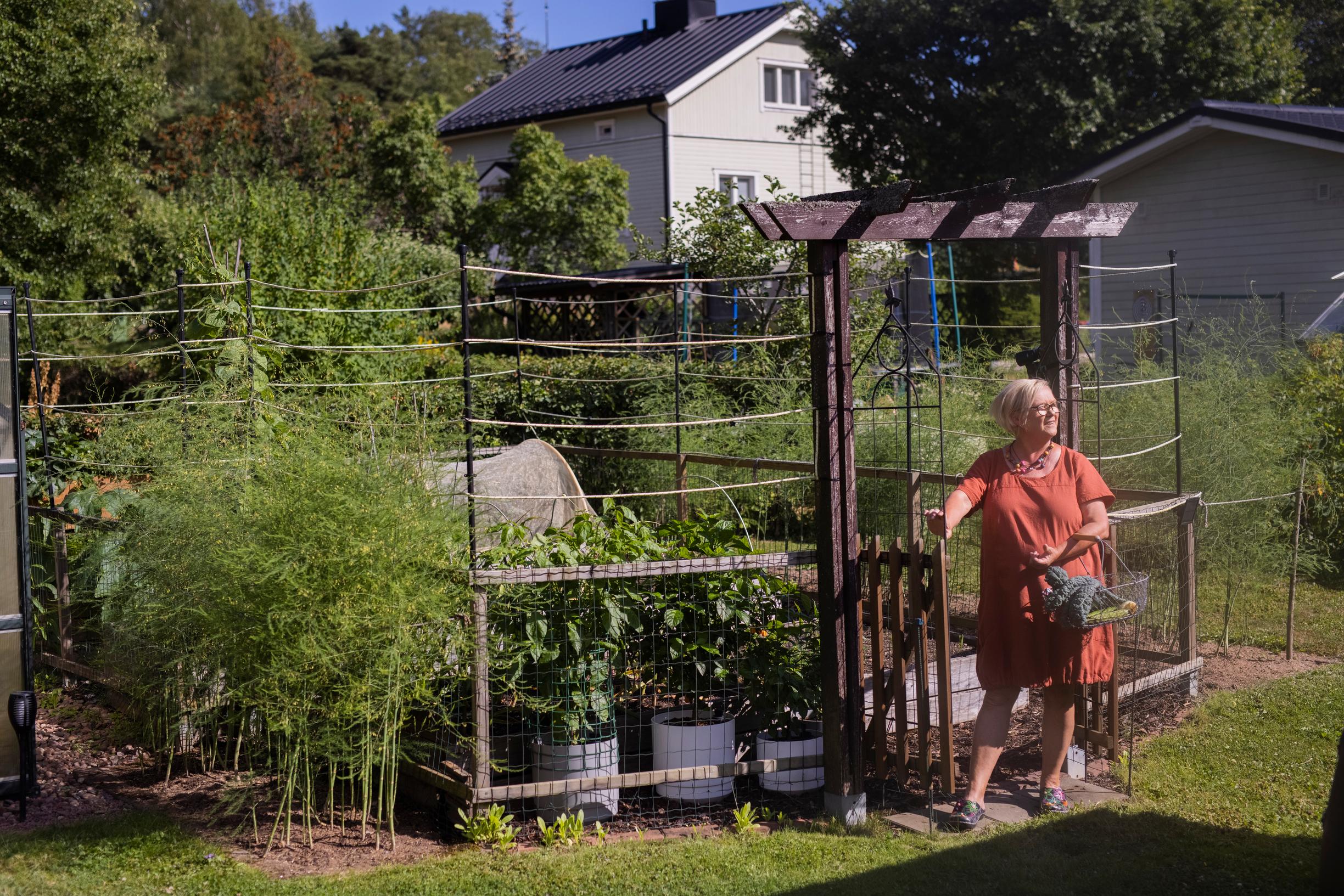 vegetable patch protected from deer