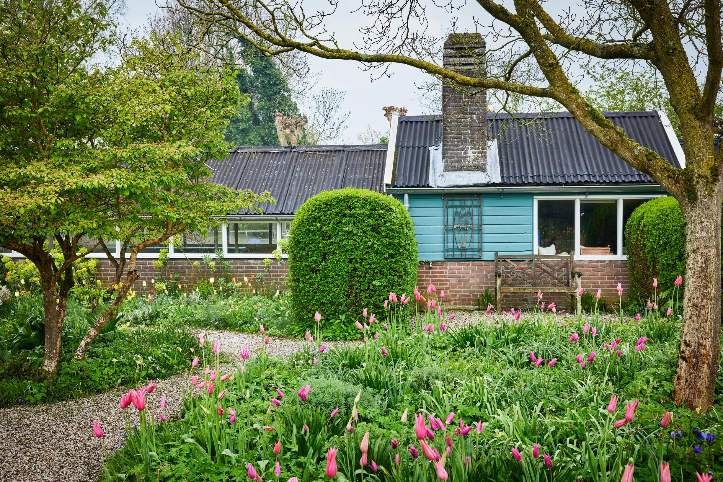 Jacqueline van der Kloet’s garden