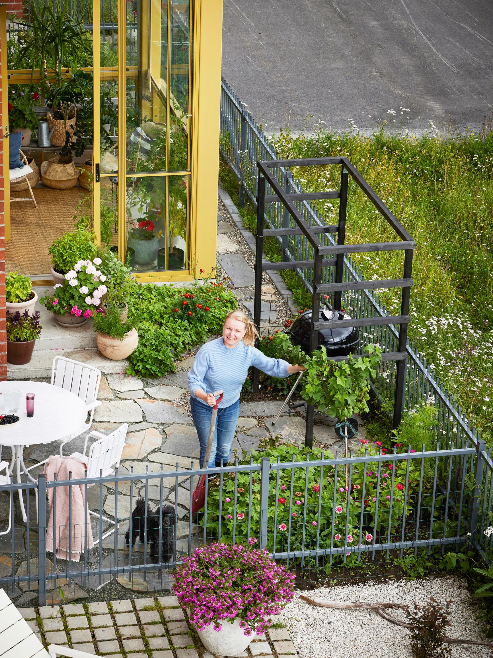 Everything is edible in Hannele’s tiny 37-square-meter garden—“Edible doesn’t mean it’s a vegetable patch”