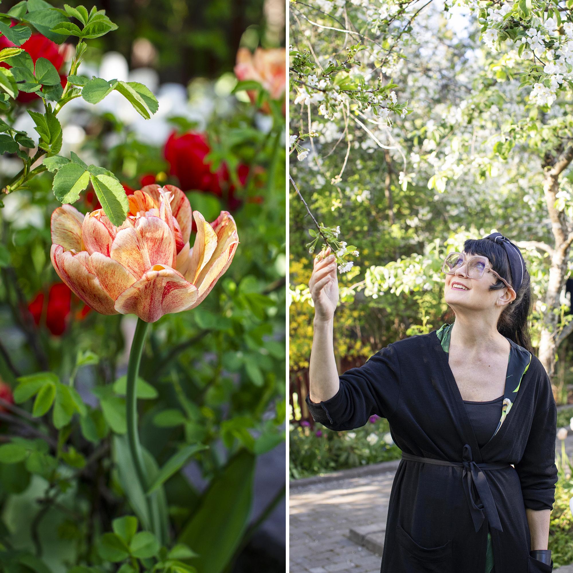 An exercise for the mind—author and interior architect Maaretta’s tulip garden is more than a visual feast