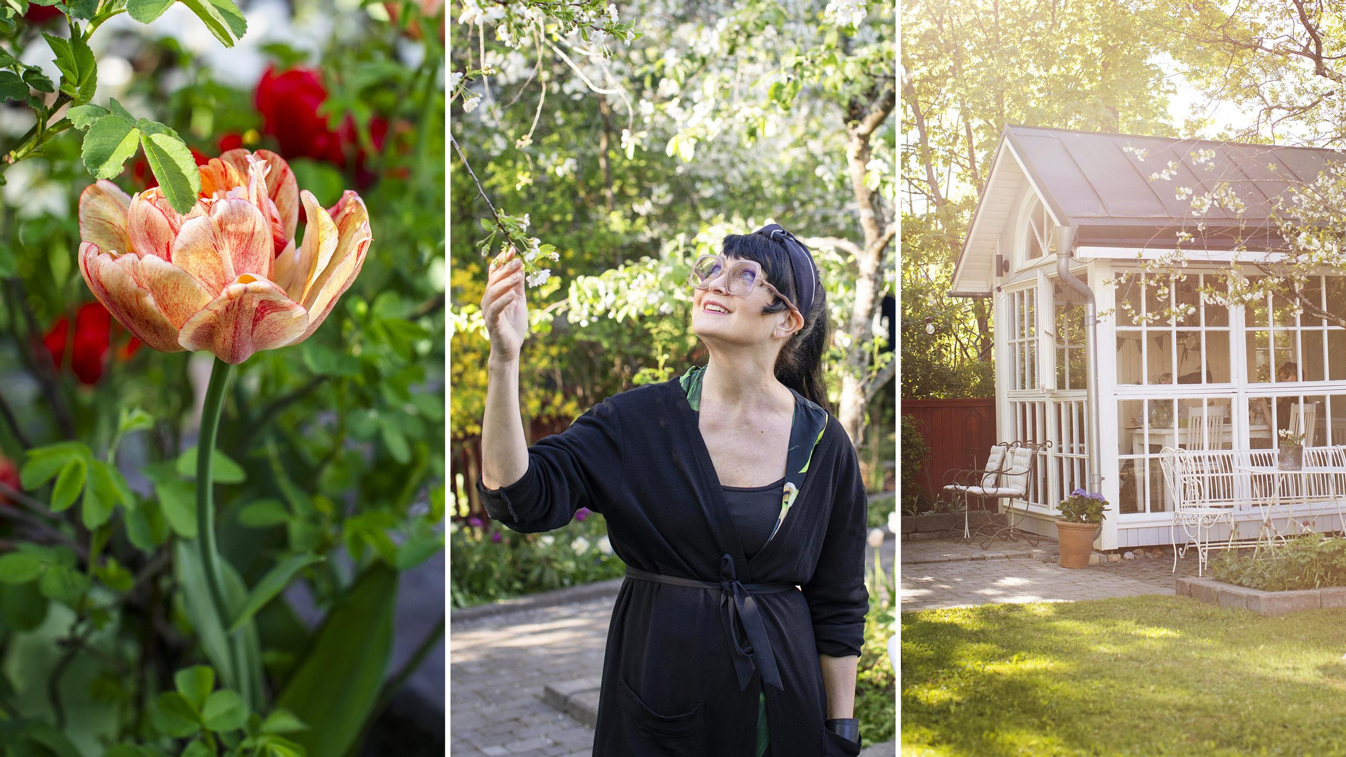 An exercise for the mind—author and interior architect Maaretta’s tulip garden is more than a visual feast
