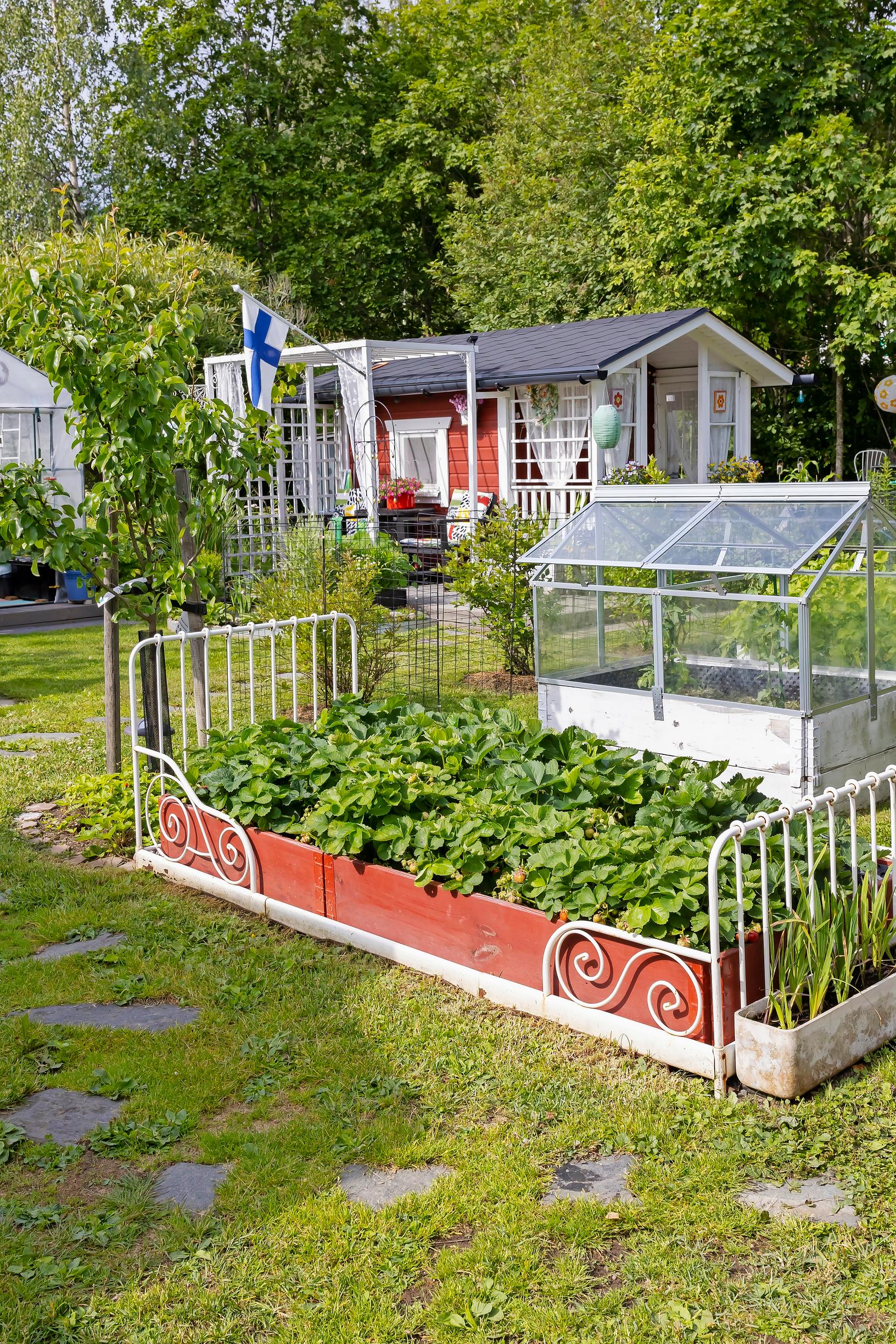 strawberry patch in pallet collars surrounded by an old metal bed frame, with a greenhouse and playhouse in the background