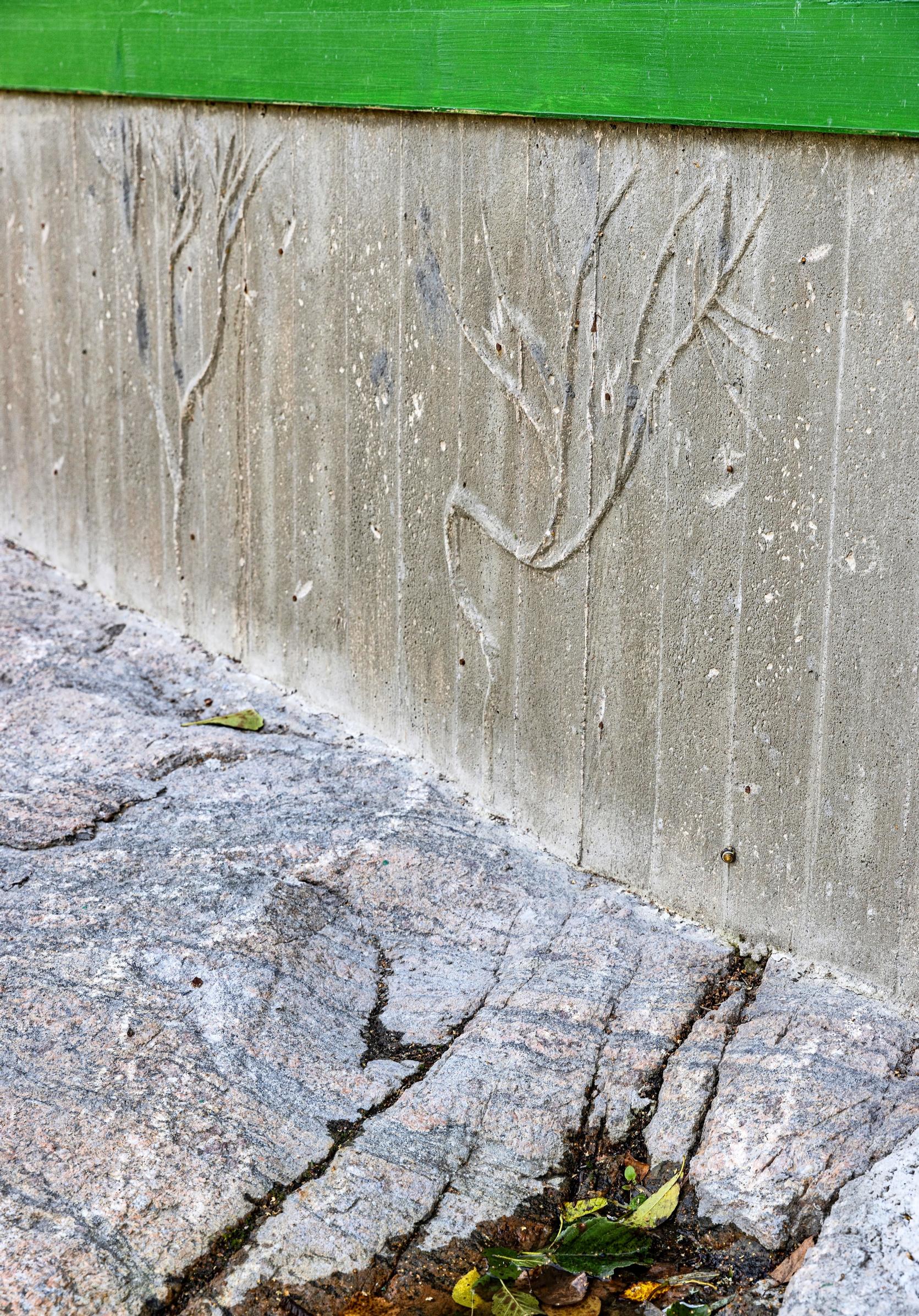 Grass decor on the foundation