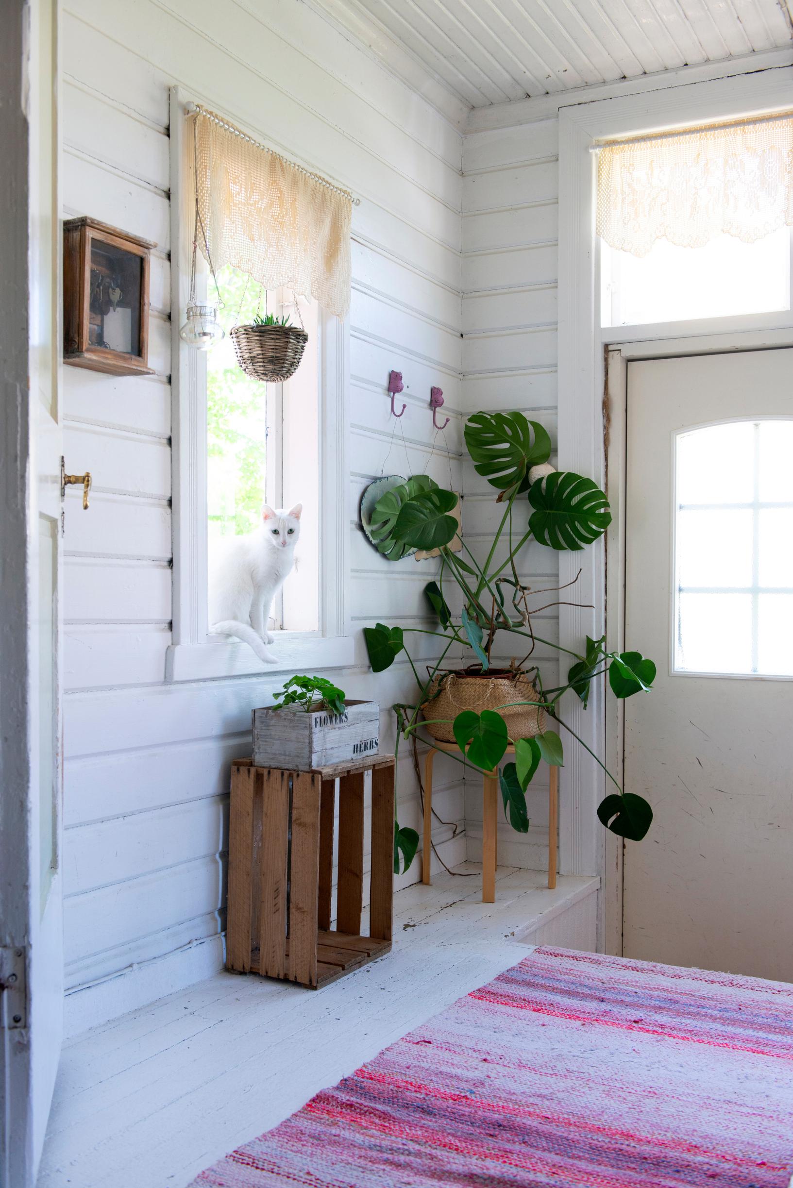 From the front door, a small set of stairs leads to a larger entry hall