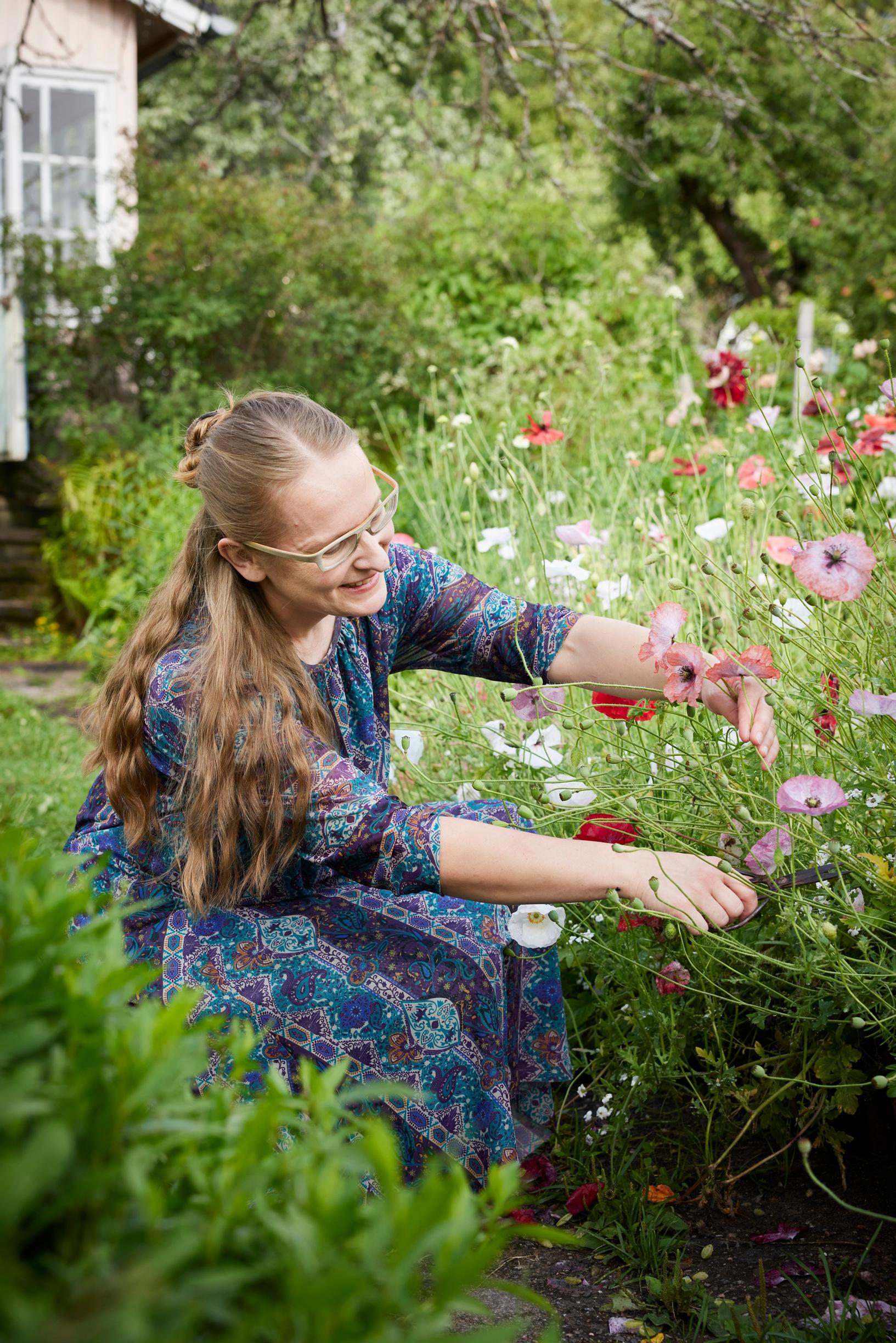 Satu cutting flowers