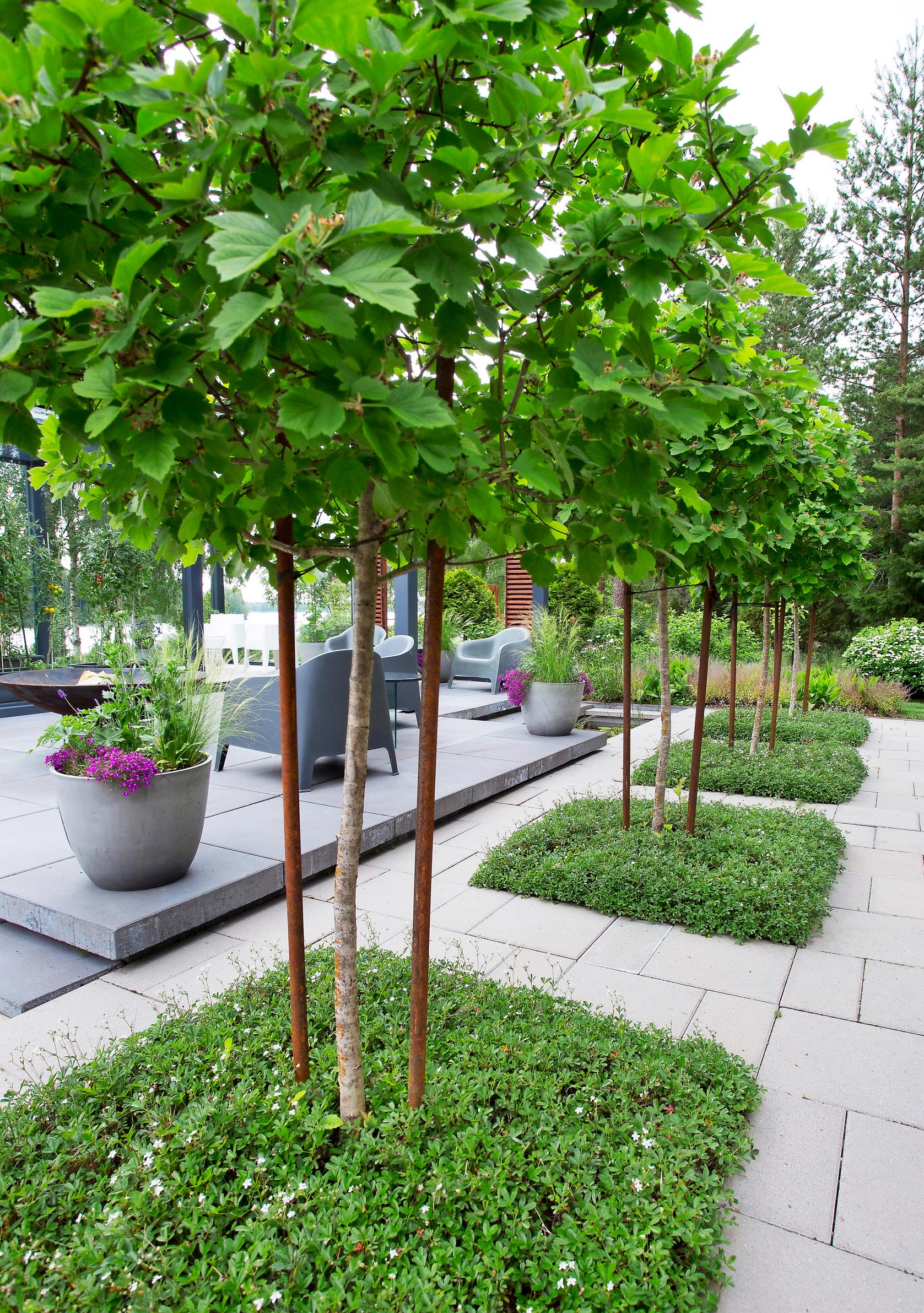 deer-resistant plants