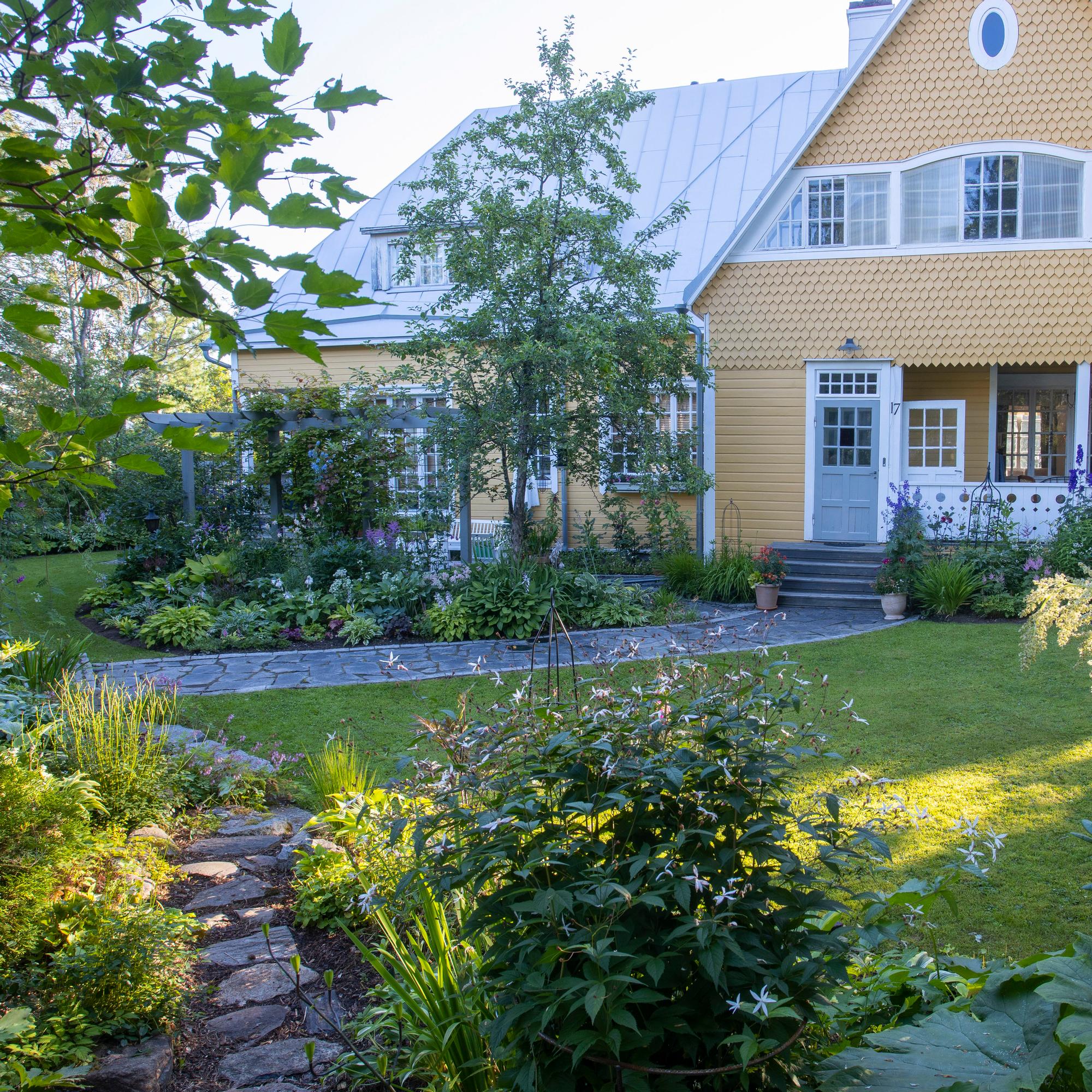 Merja discovered her passion for gardening in the US—and introduced a lush American style to her yard in Finland
