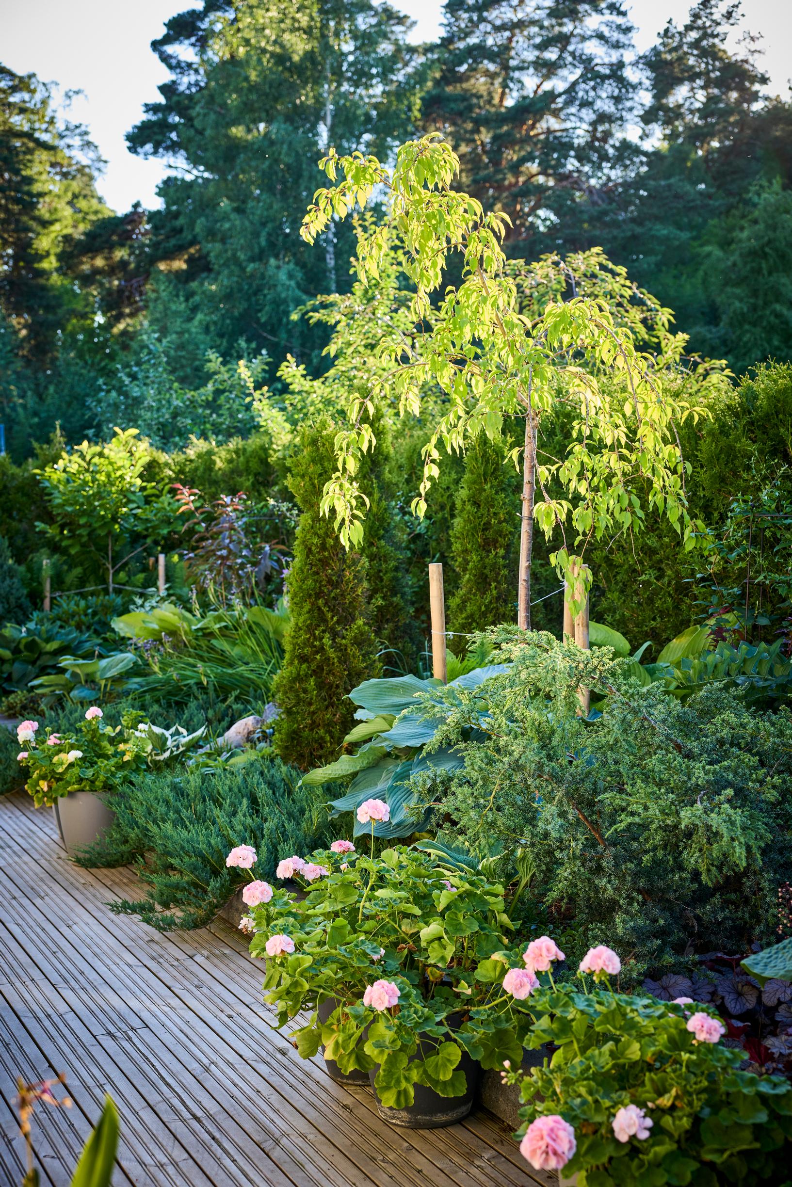 500-square-meter yard