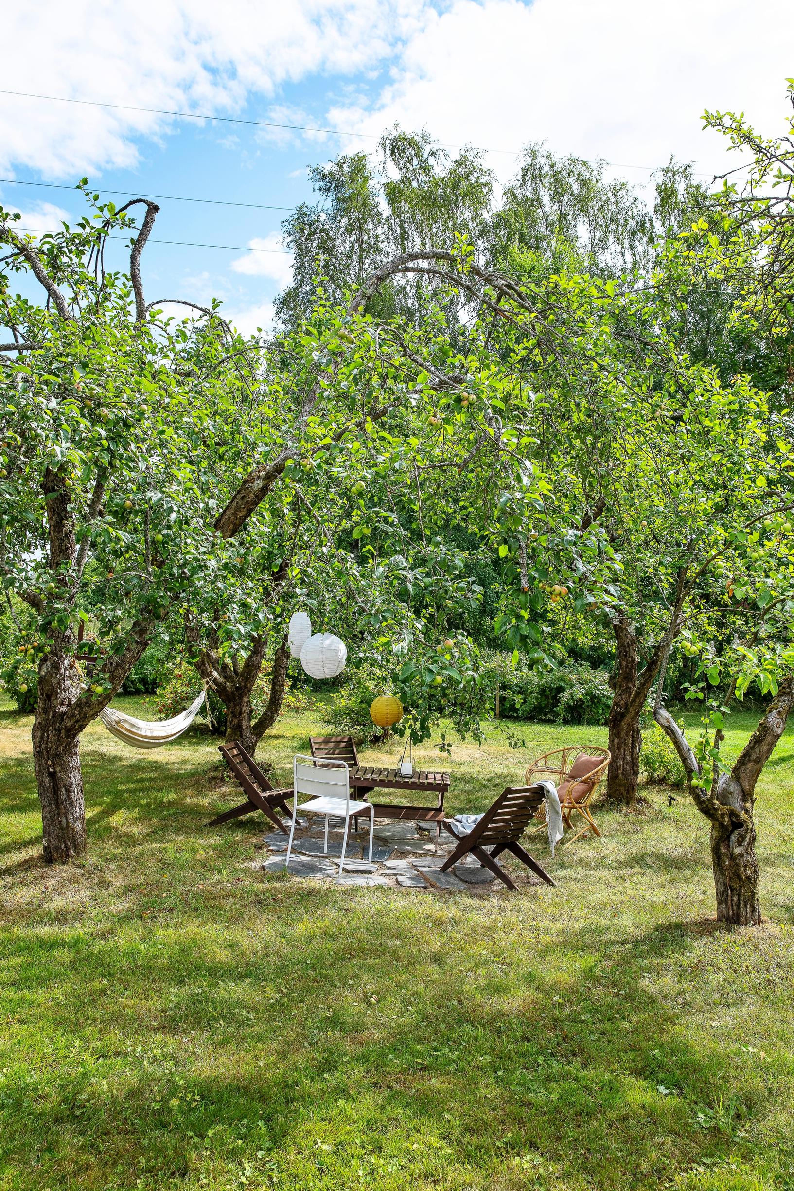 Relaxation spot under the apple trees