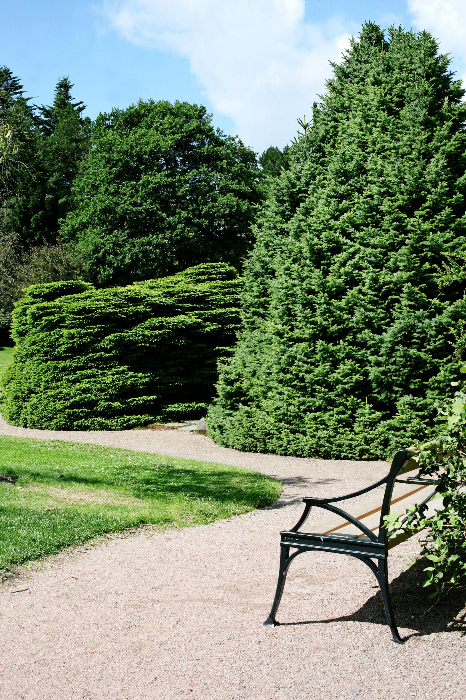 deer-resistant plants
