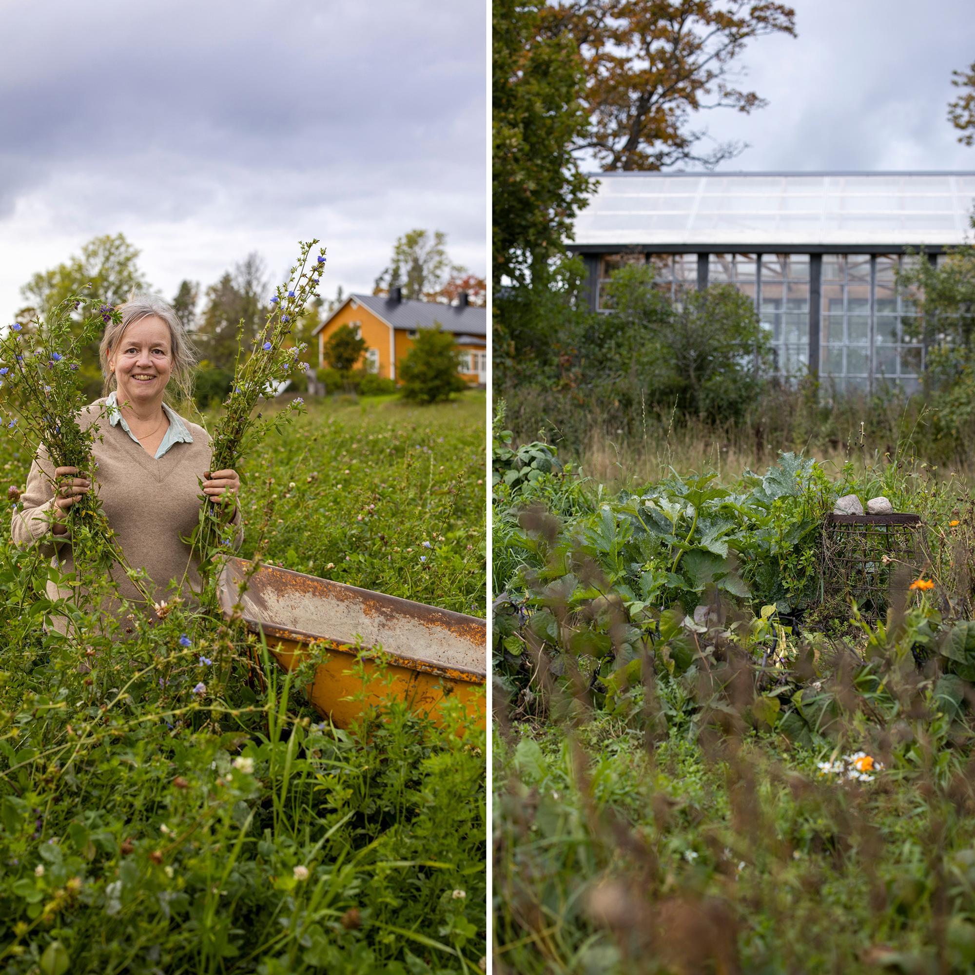 No bare soil in Nina’s garden: “When the soil is healthy and diverse, the plants stay healthy too”