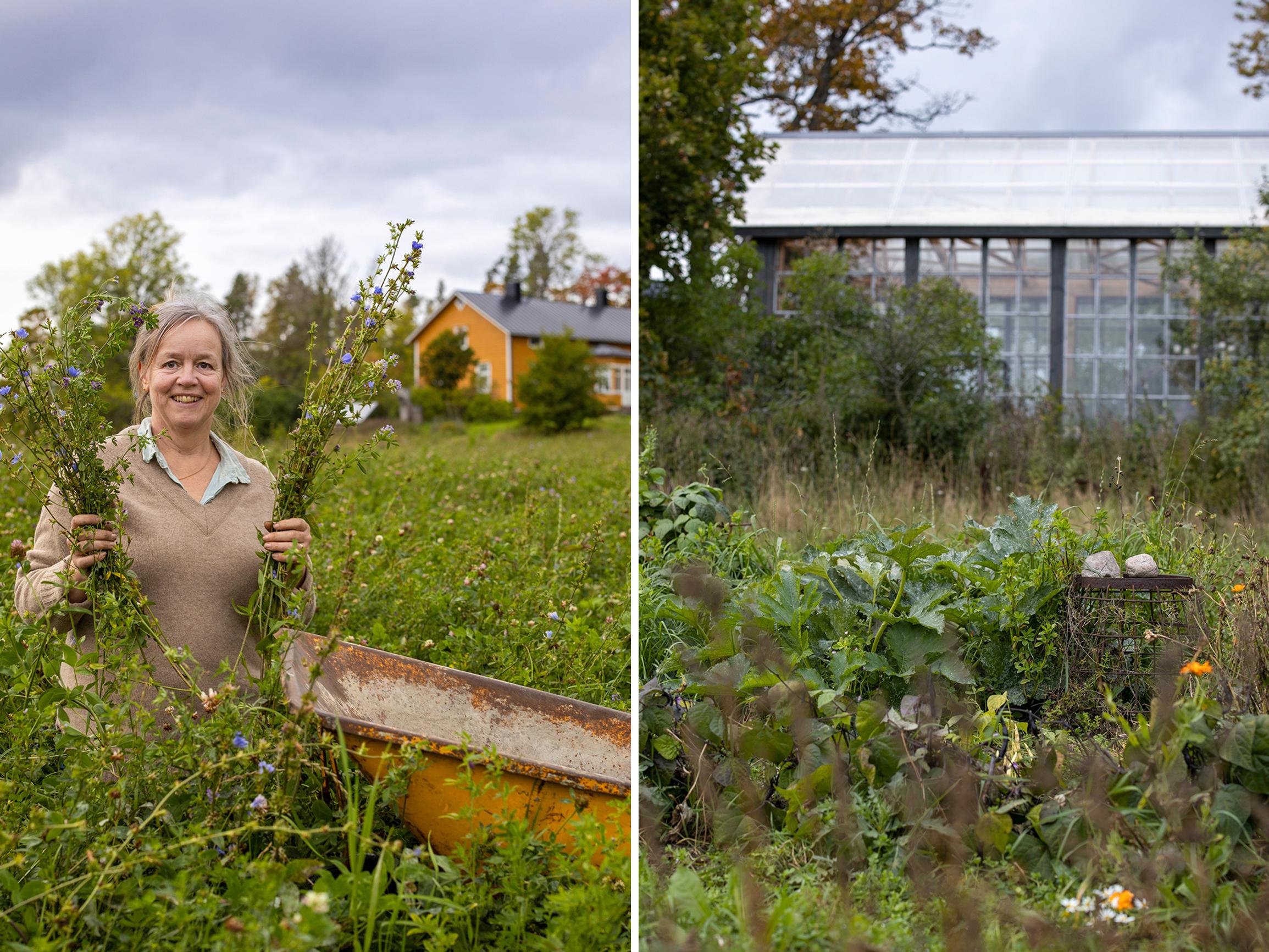 No bare soil in Nina’s garden: “When the soil is healthy and diverse, the plants stay healthy too”