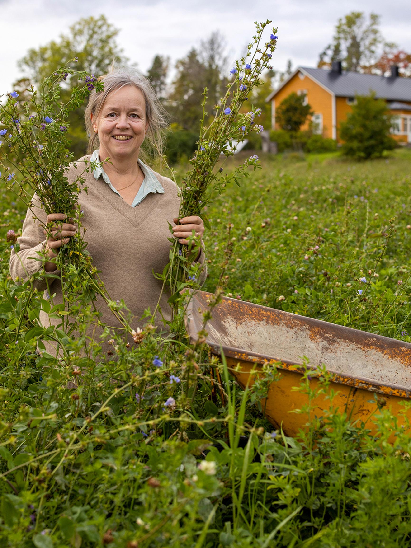 No bare soil in Nina’s garden: “When the soil is healthy and diverse, the plants stay healthy too”
