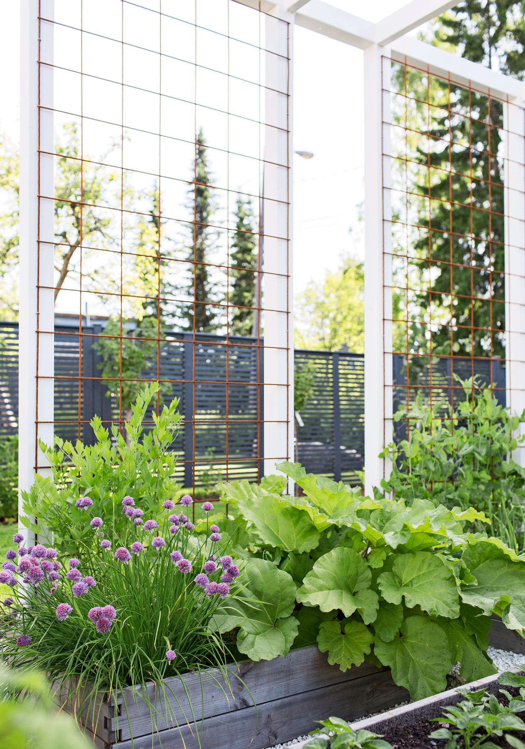 Reinforcement mesh as plant support