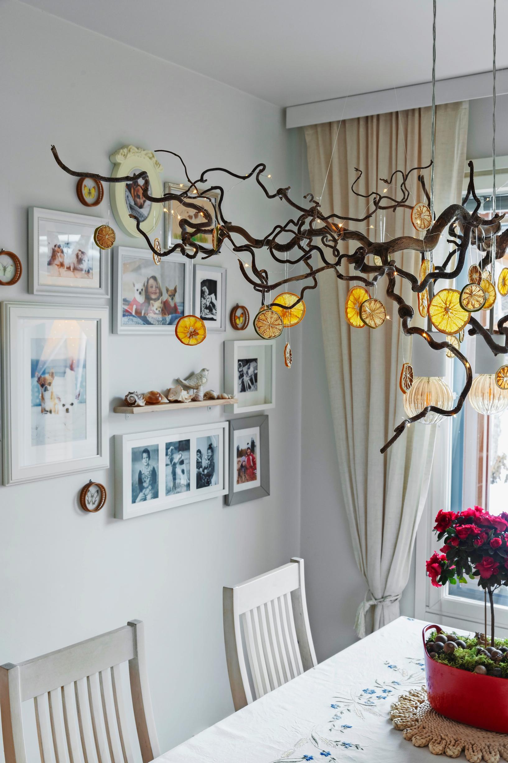 Kitchen dining area with twisted hazel branches hanging above the table, decorated with dried orange slices.