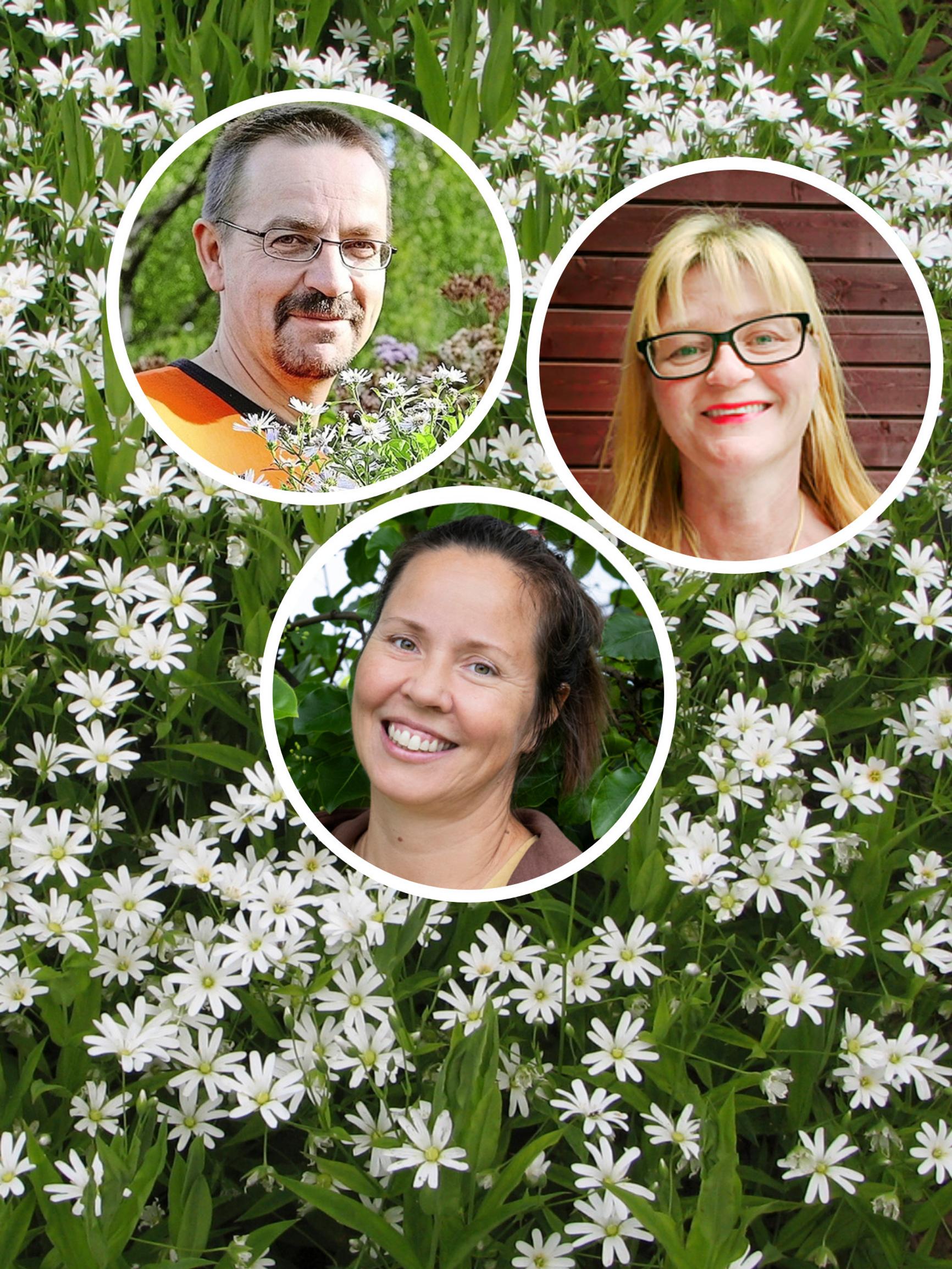 Perennials for tree shade: “a phenomenal ability to thrive”