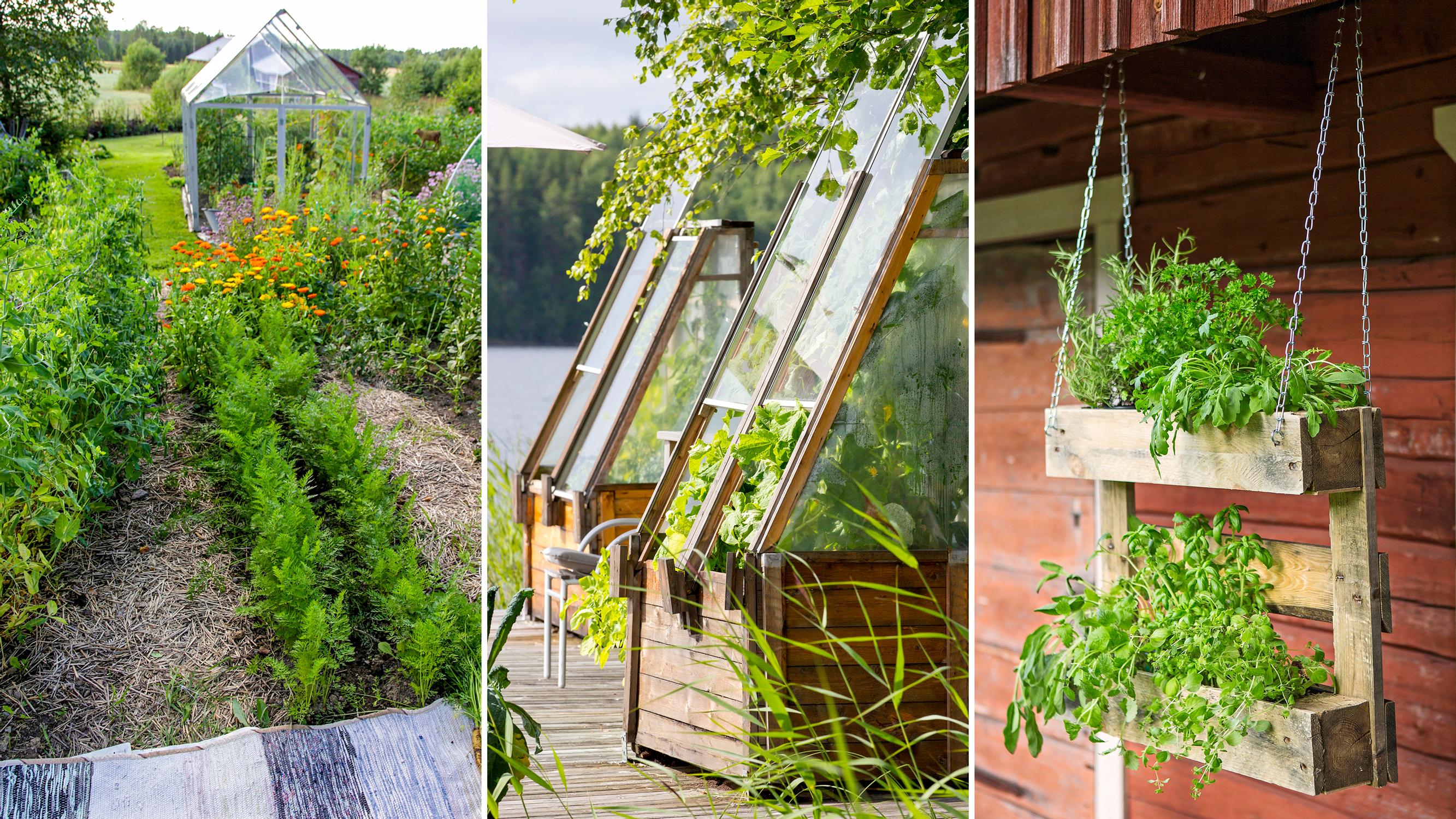 Grow food in your yard! 12 ideas for a bountiful and charming kitchen garden