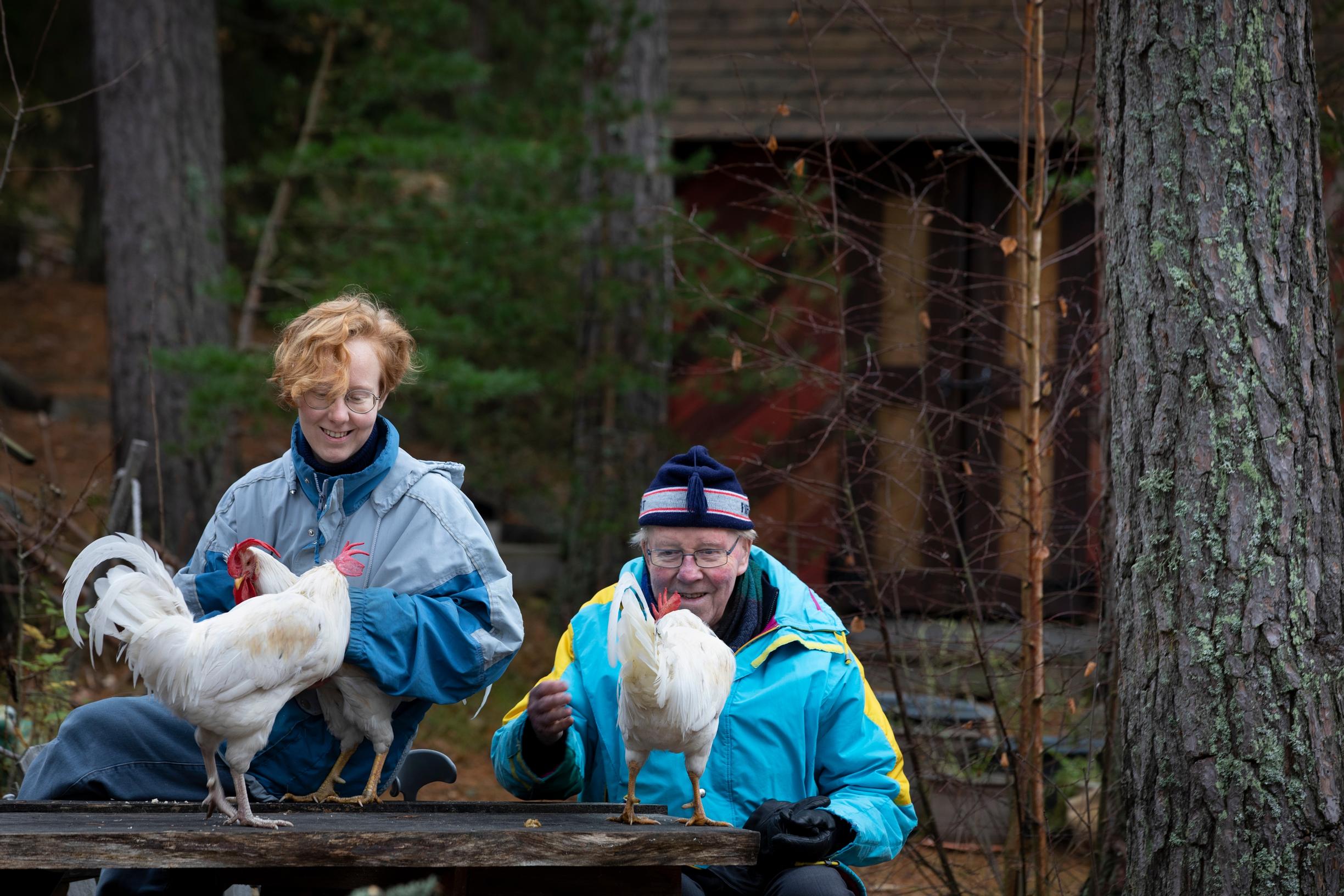 woman and man talking to roosters