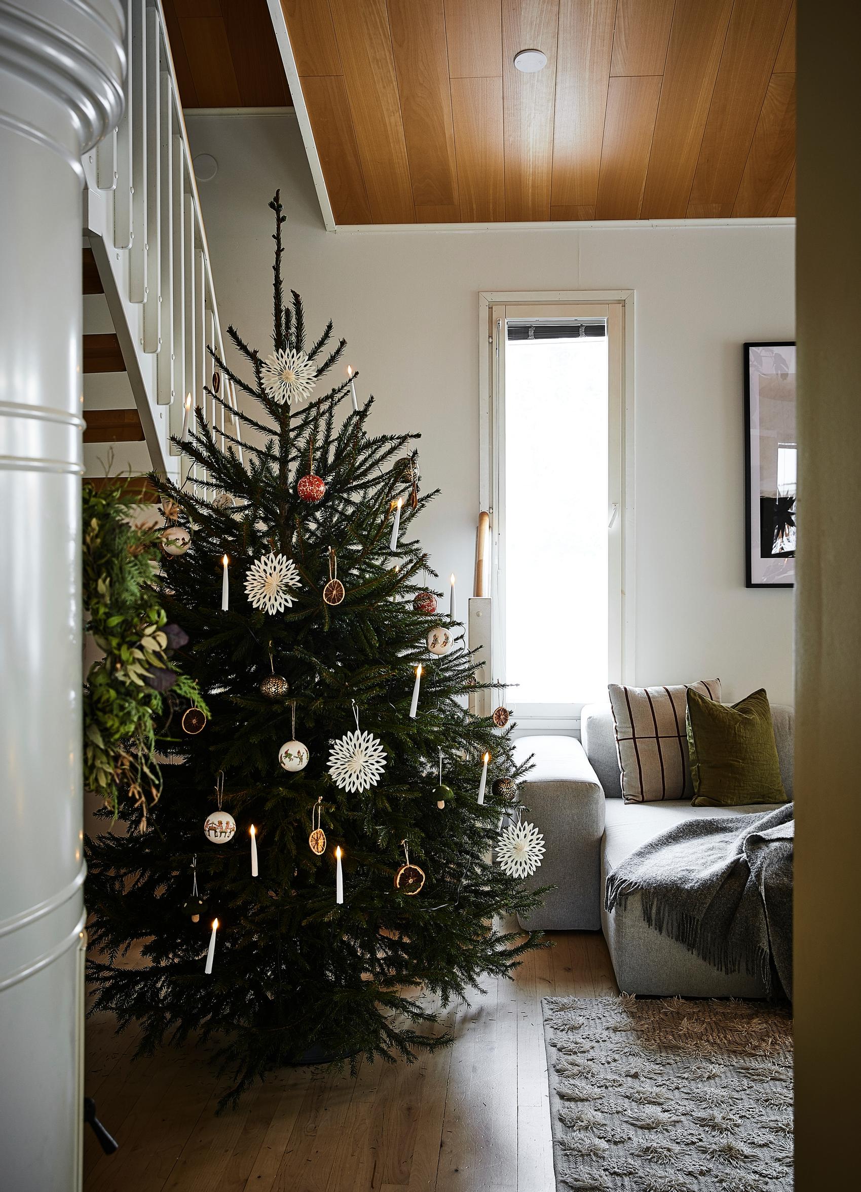 A Christmas tree and a corner of the sofa