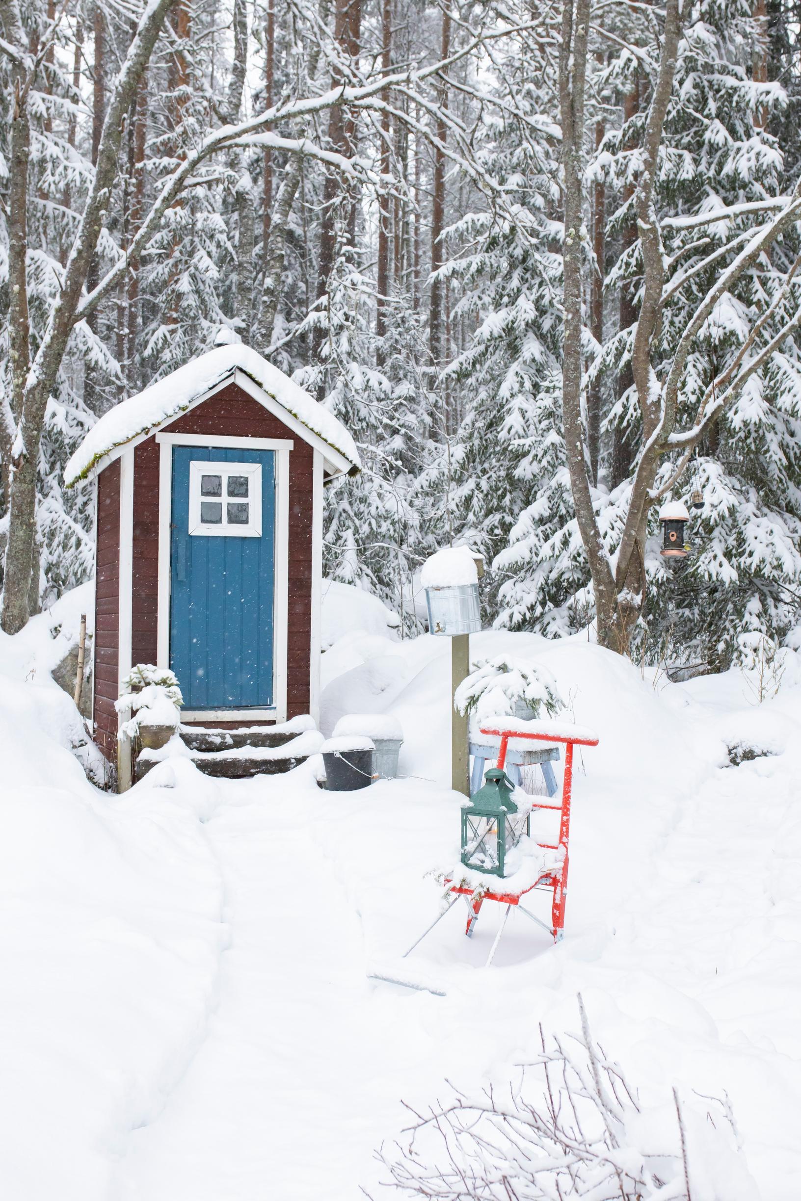 An outhouse and a kicksled in the snowy forest.