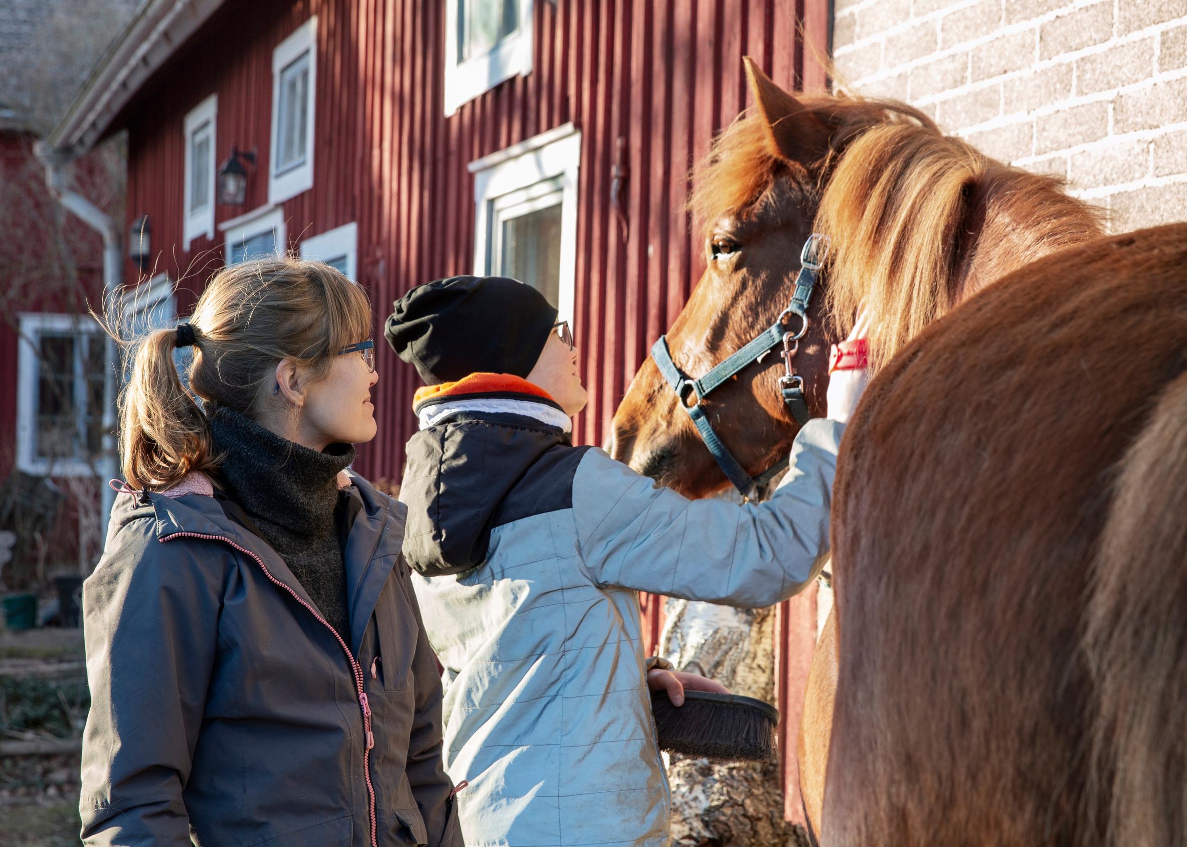 A young man brushing a horse's neck while a woman looks on