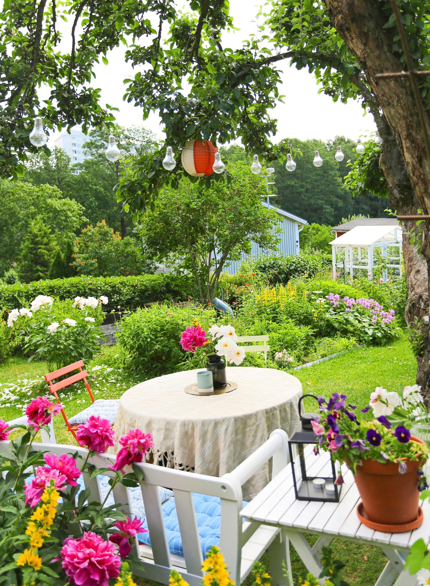 The garden of Hanna’s allotment garden cottage