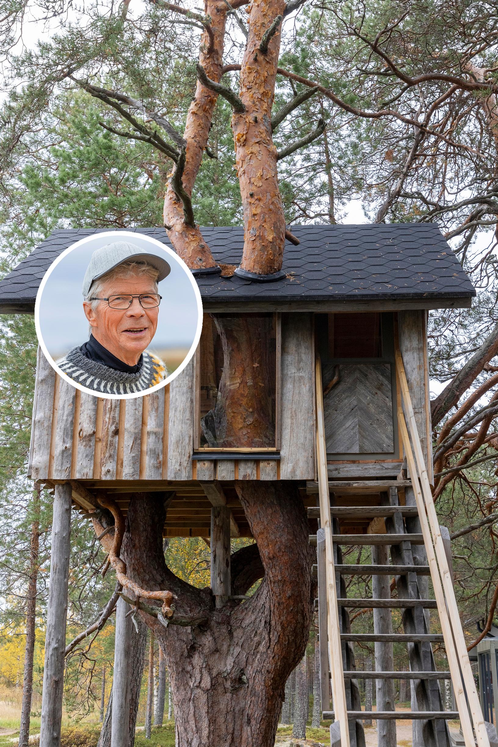 Aimo's treehouse has a tree trunk running through it: “This pine practically begged for a treehouse in its branches”