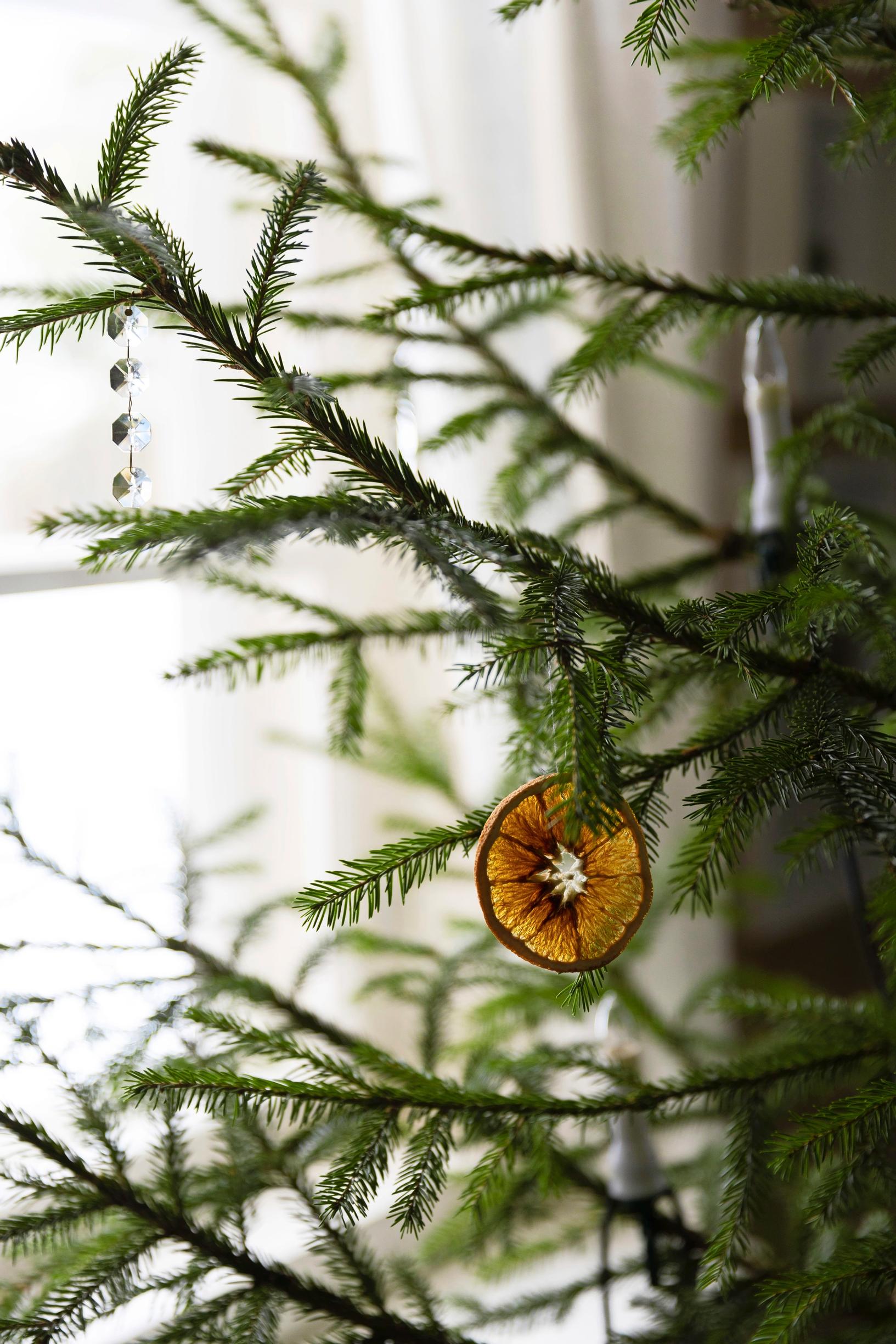 A Christmas tree with orange slices on its branches.