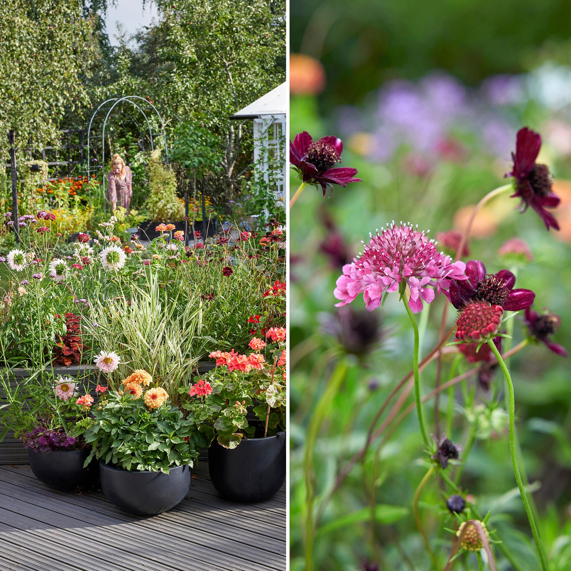 This terrace is an ode to lush, meadow-like container plantings—“When you grow your own seedlings, the sky’s the limit”