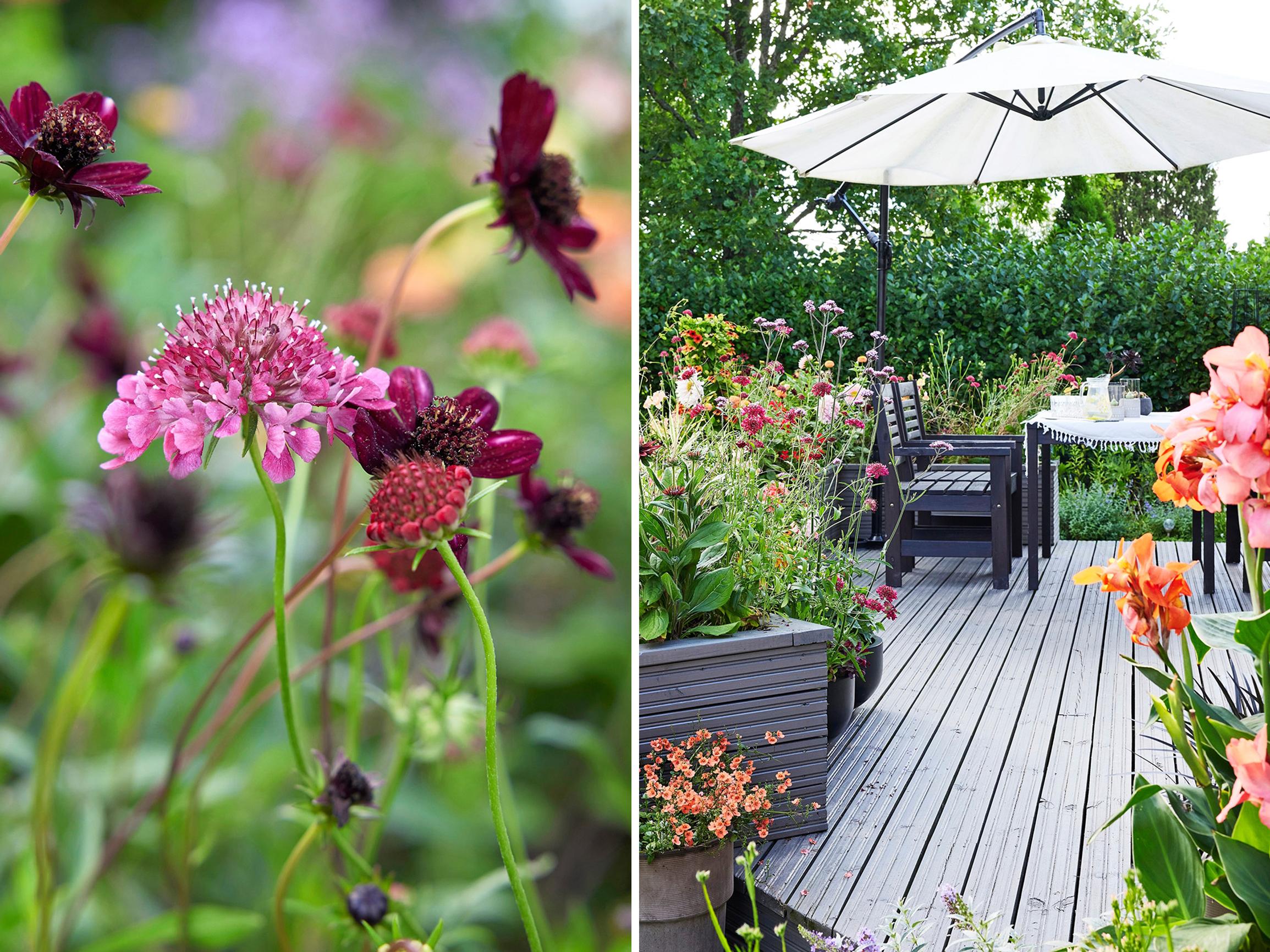 This terrace is an ode to lush, meadow-like container plantings—“When you grow your own seedlings, the sky’s the limit”