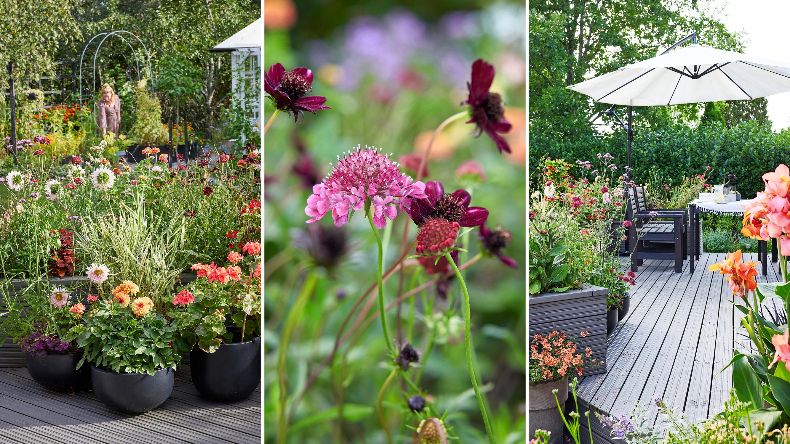 This terrace is an ode to lush, meadow-like container plantings—“When you grow your own seedlings, the sky’s the limit”