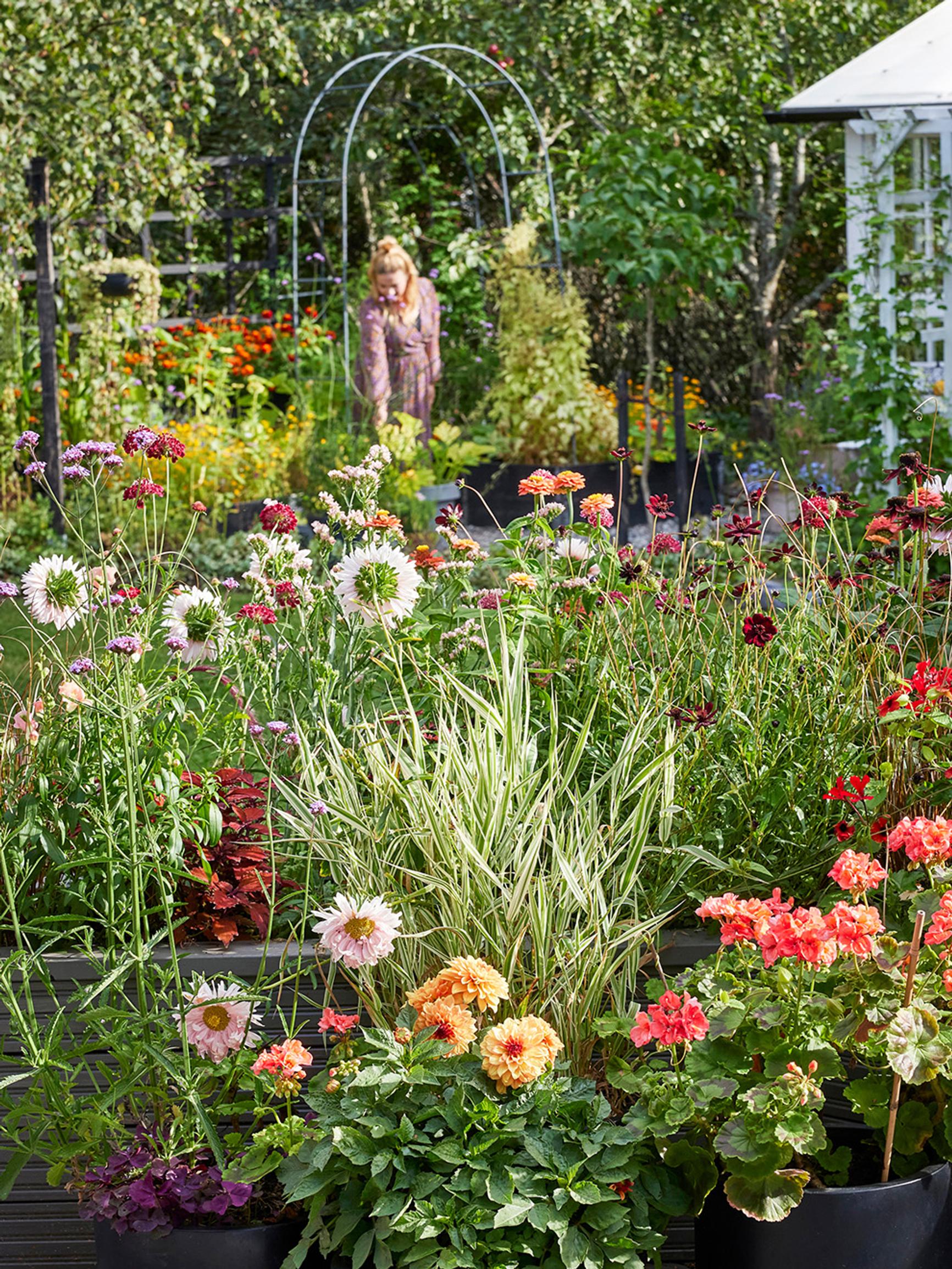 This terrace is an ode to lush, meadow-like container plantings—“When you grow your own seedlings, the sky’s the limit”