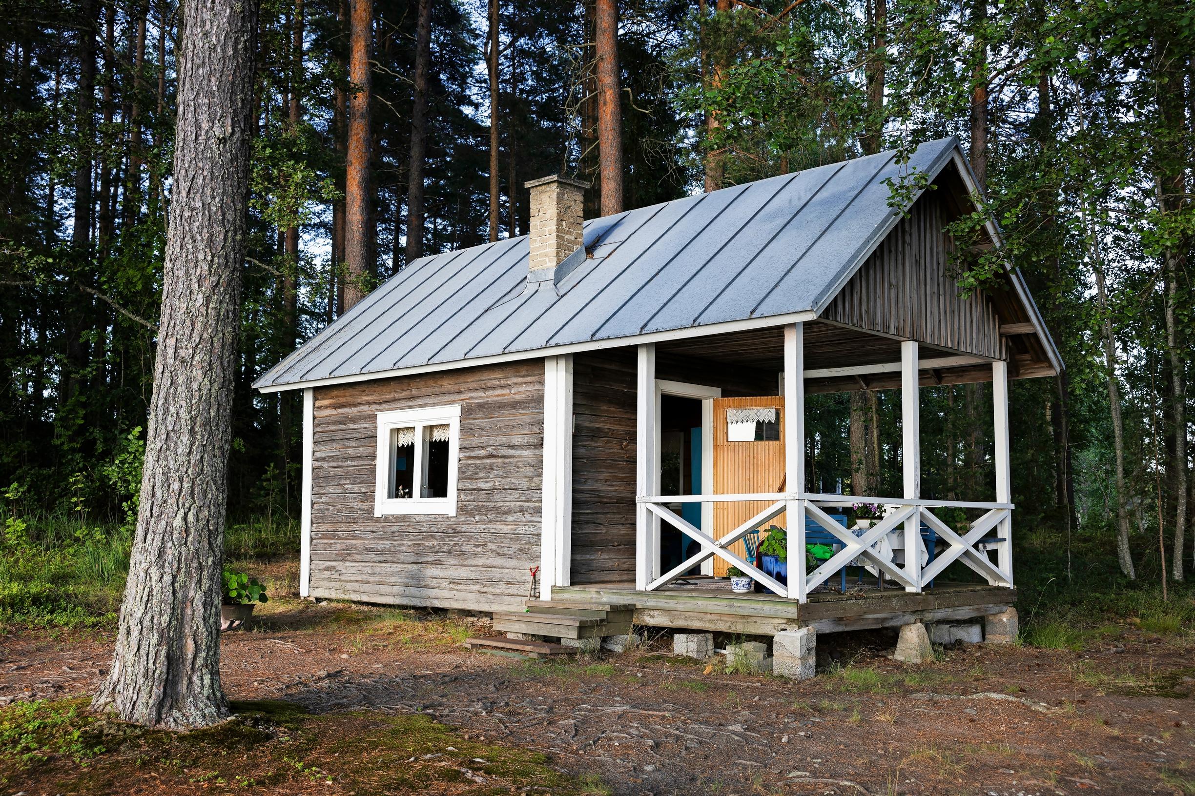 Gray old log house with a white porch, forest in the background