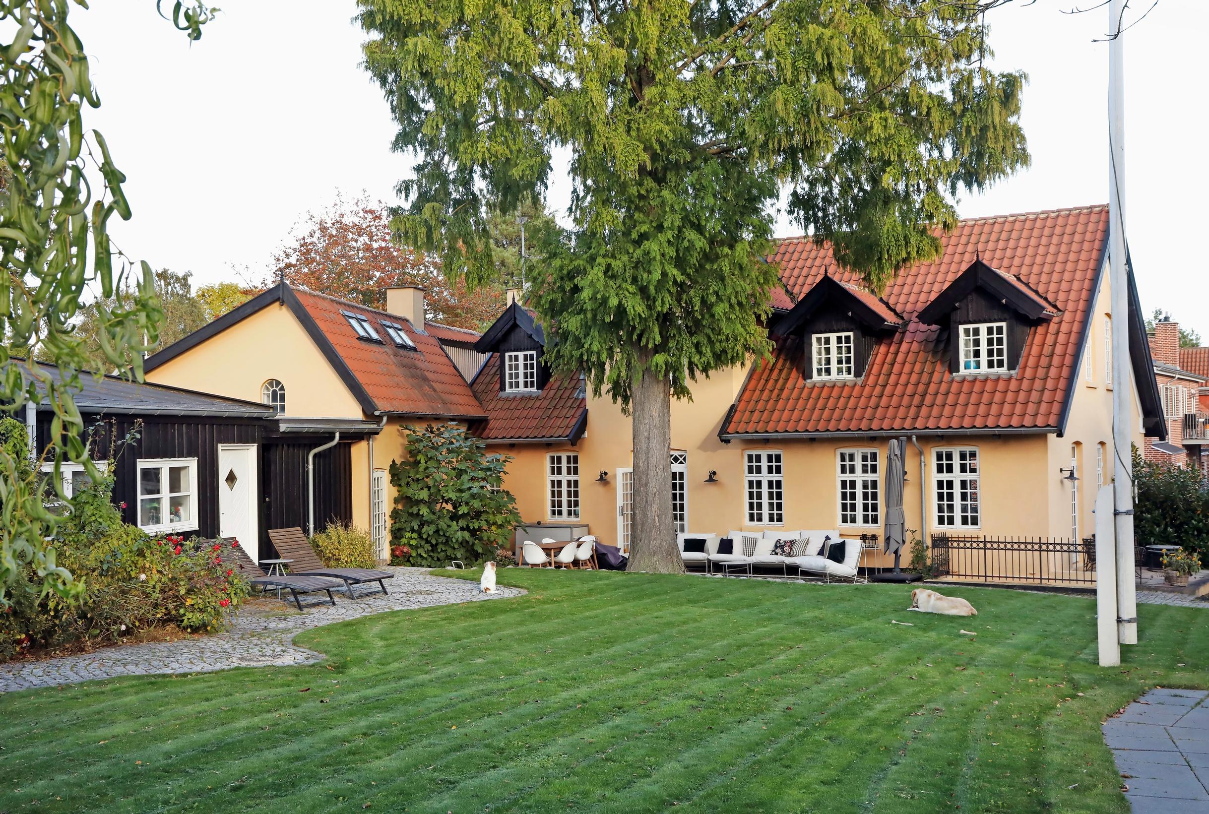 The large lawn of the yellow house, where the children can spread out to play