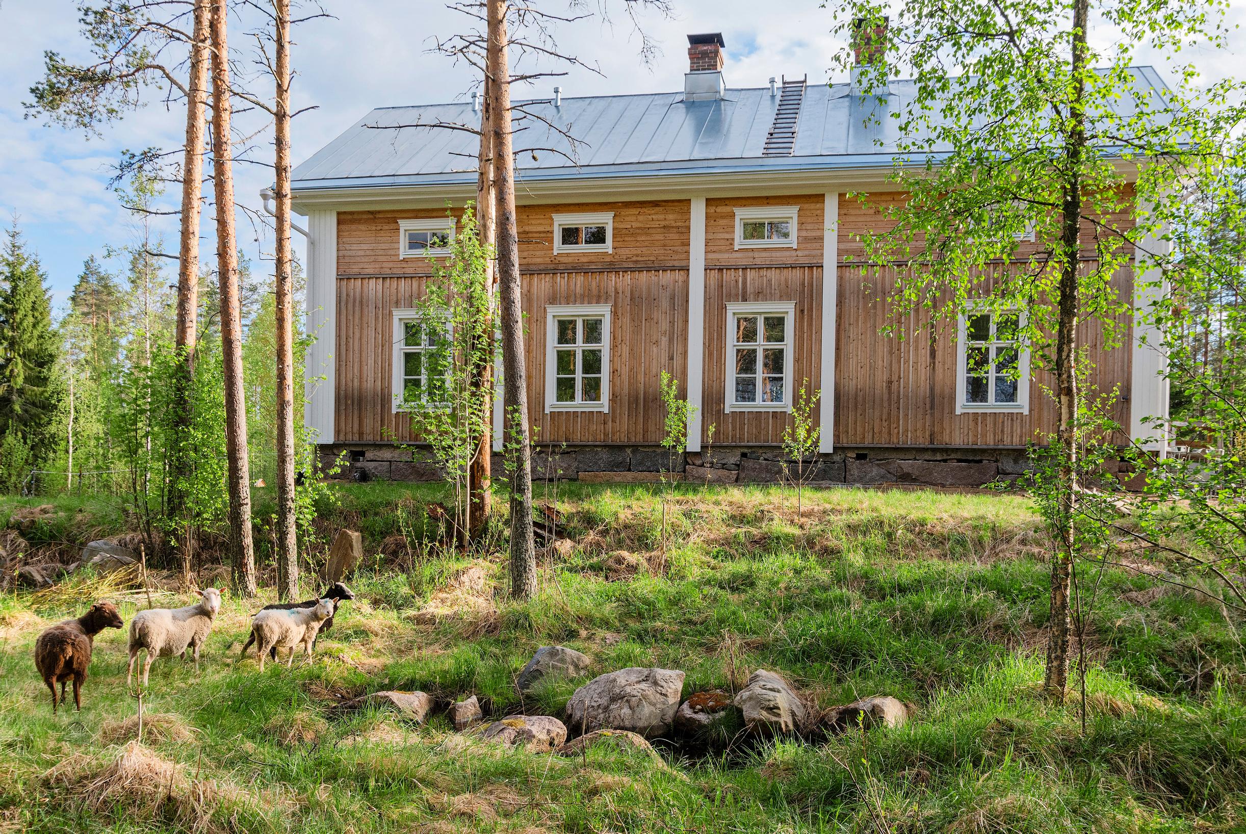 home renovation stories