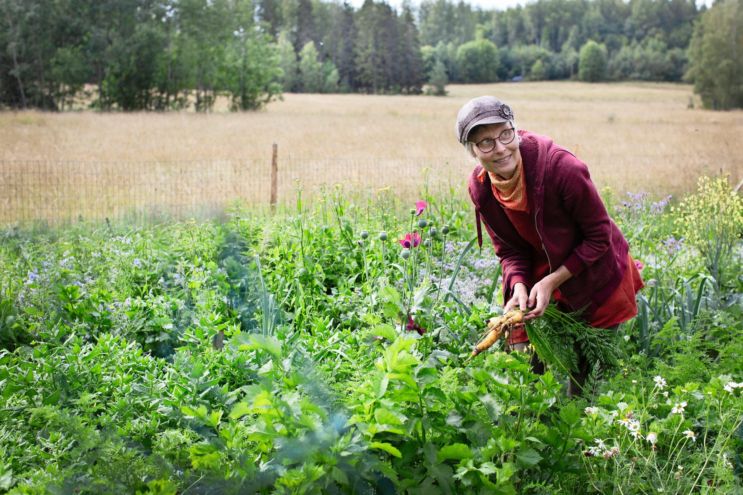Permaculture in the vegetable patch