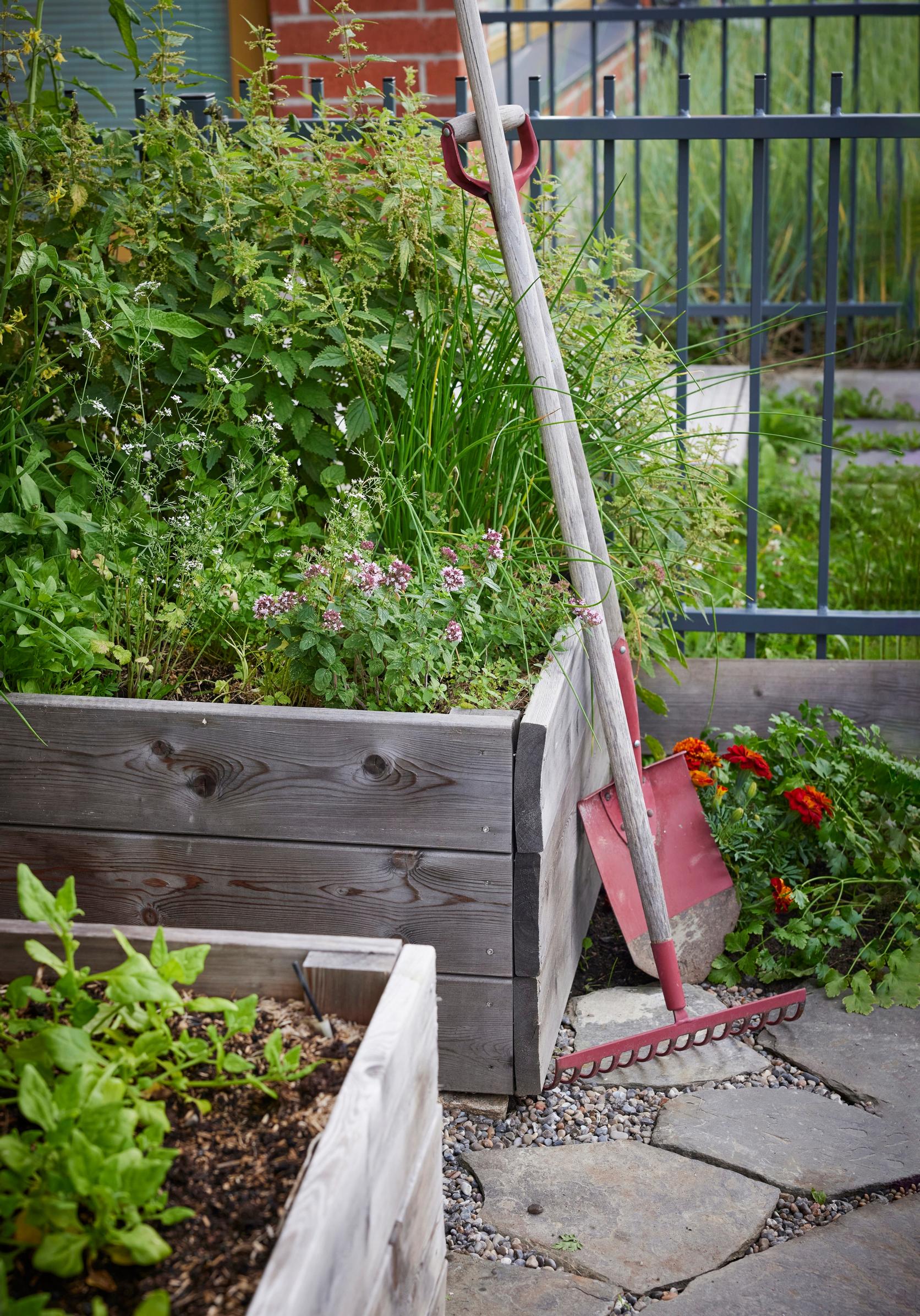 Mini garden at home: Planting boxes, a rake, and a shovel in Hannele’s garden.
