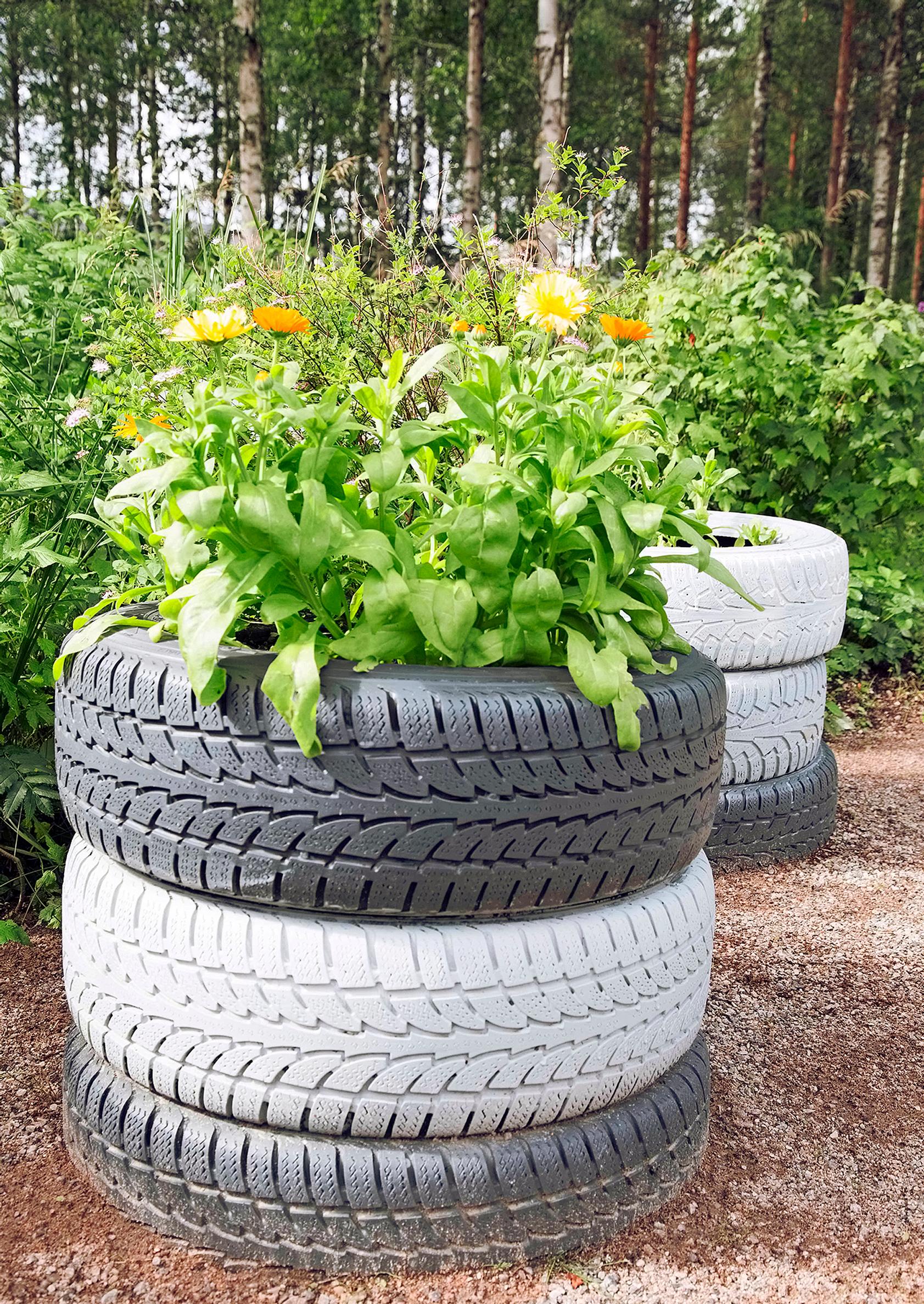 Summer flower planting made from car tires